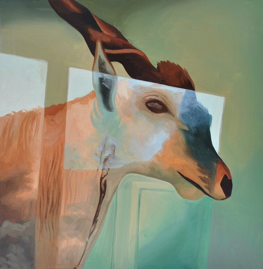 Lina Tharsing, Torn, 2011, Oil on panel, 12 x 12.5 inches