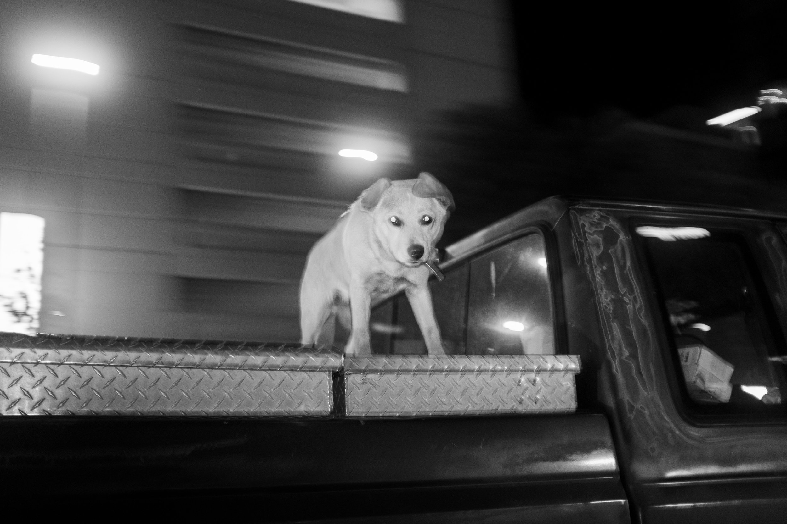 Case Mahan, Untitled, 2024, silver gelatin print, 8 x 12 inches