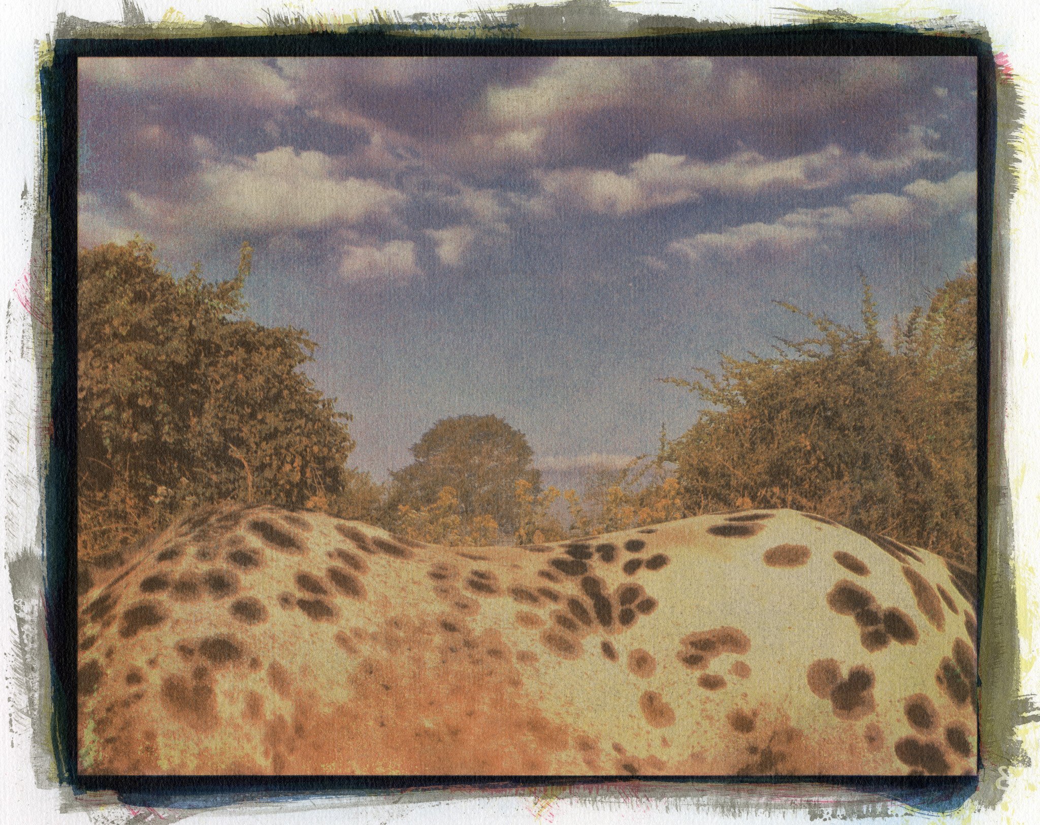 Carey Neal Gough, A Curve in the Landscape, 2025. Gum bichromate print, 14 x 11 inches.