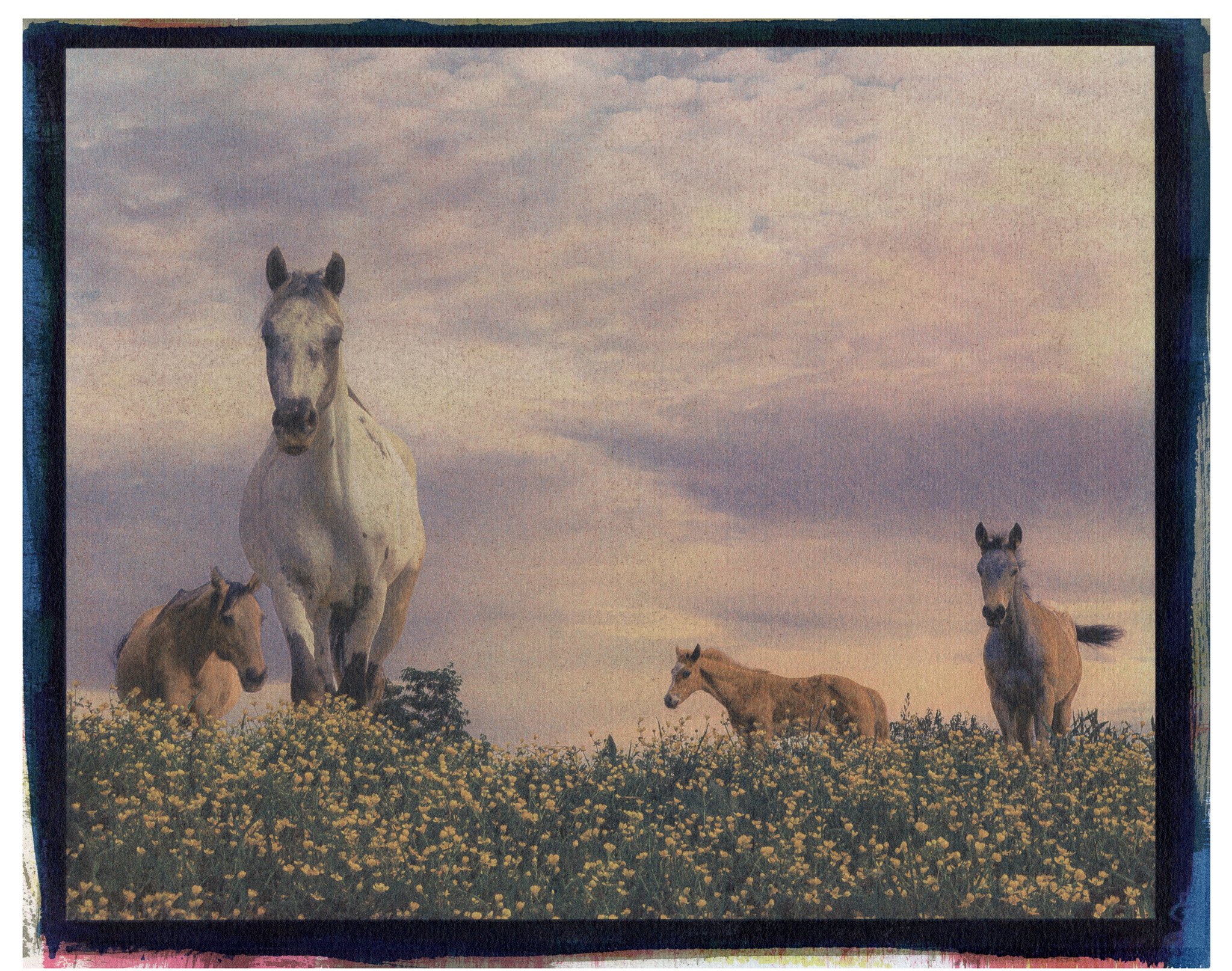 Carey Neal Gough, Heading Home, 2025. Gum bichromate print, 14 x 11 inches.