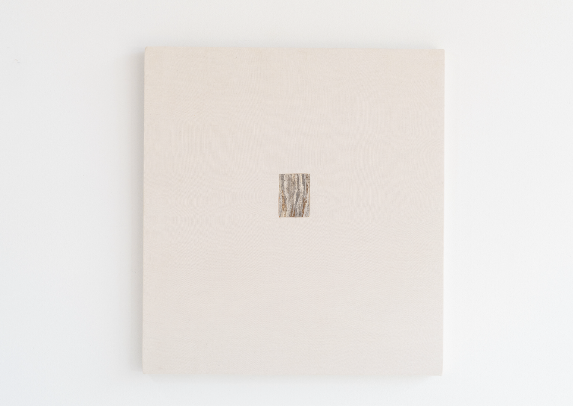 Eric Oglander, Insect Drawing, 2025, plywood, fabric from bed sheet, hornets nest, 13 ¾ x 15 inches