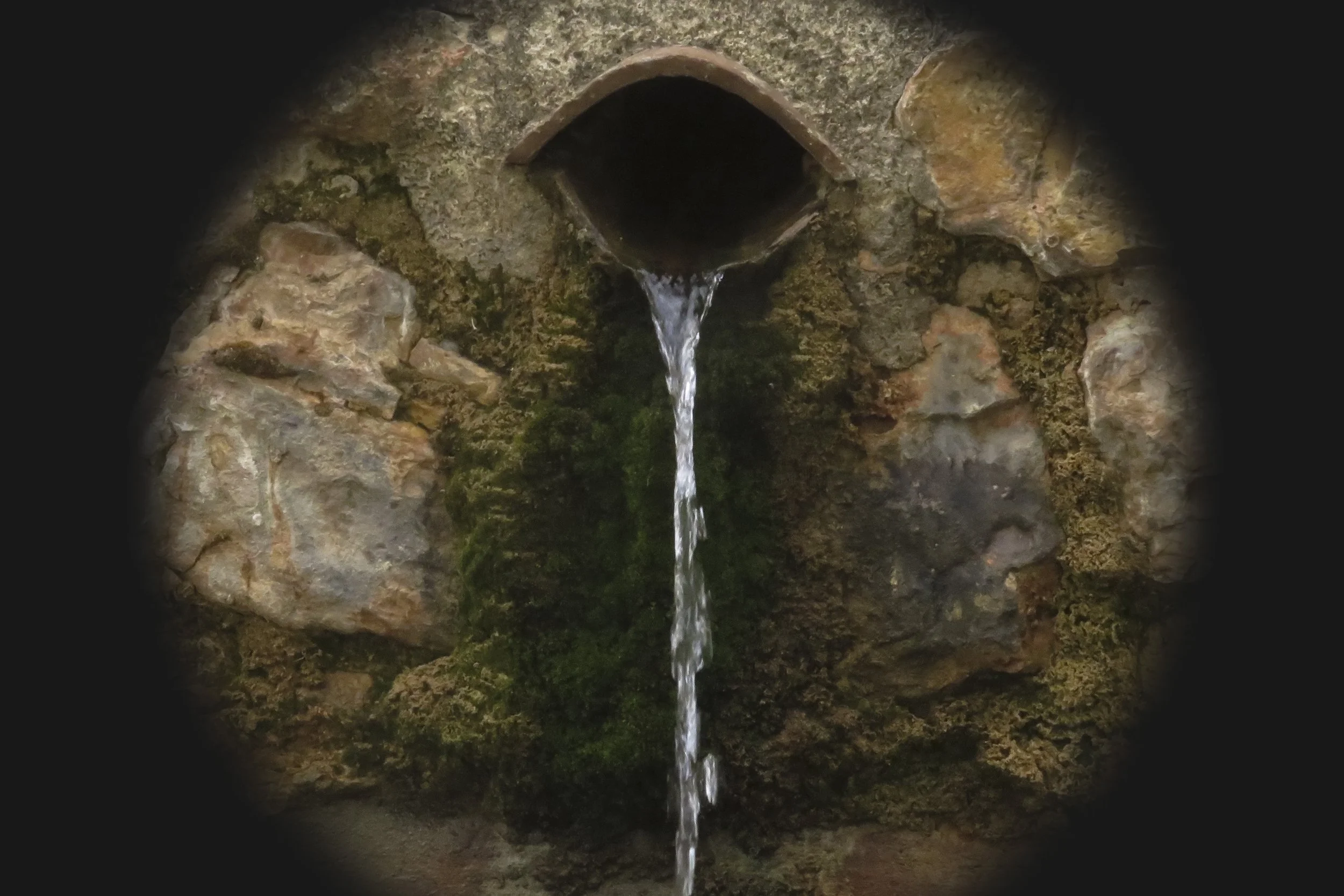 Dobree Adams, THORONET ABBEY FOUNTAIN, 2024, Archival inkjet print, 24 x 20 inches