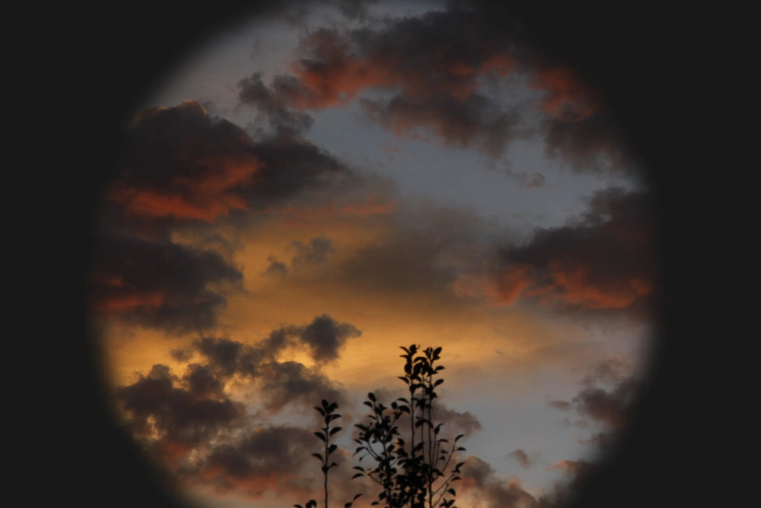 Dobree Adams, REFLECTED OCTOBER STORM, 2023, Archival inkjet print, 24 x 20 inches