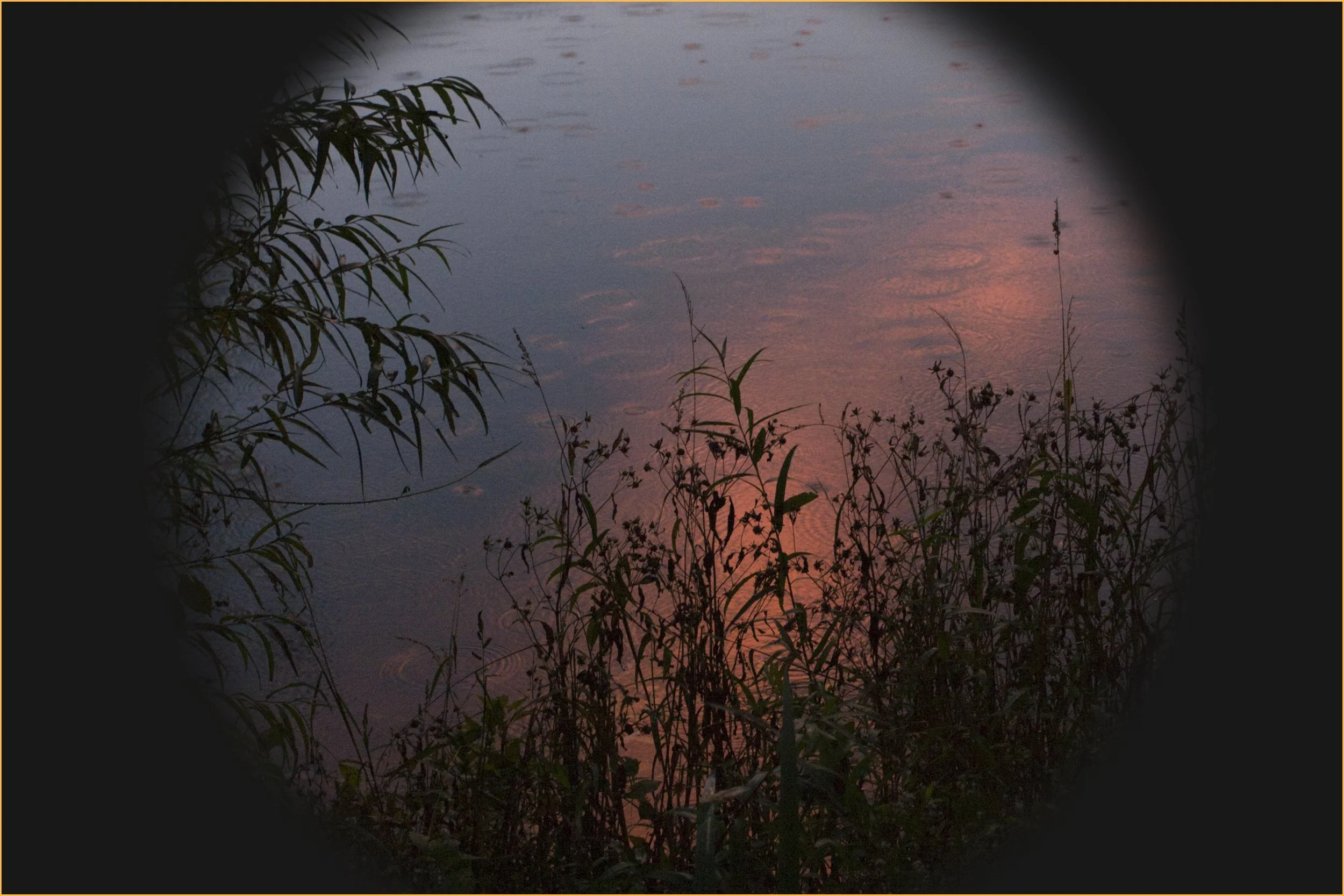 Dobree Adams, CRIMSON OCTOBER GLOW AT DUSK, 2012. Archival inkjet print, 24 x 20 inches.