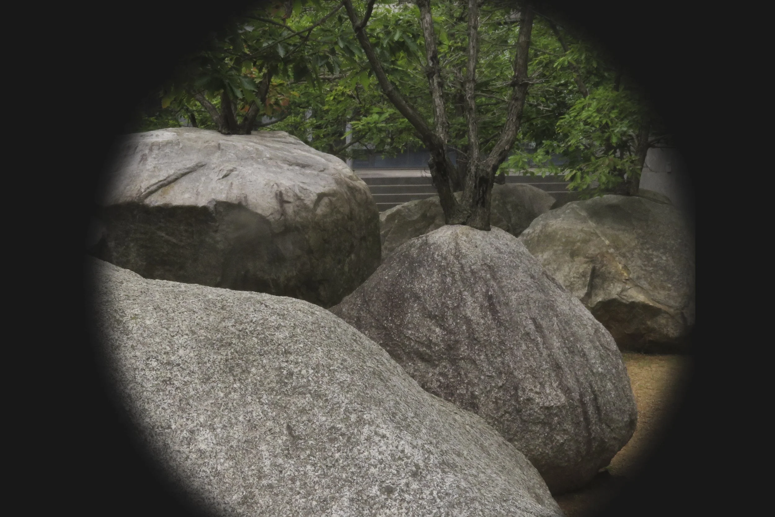 Dobree Adams, GARDEN OF STONES IV, 2025. Archival inkjet print, 24 x 20 inches.