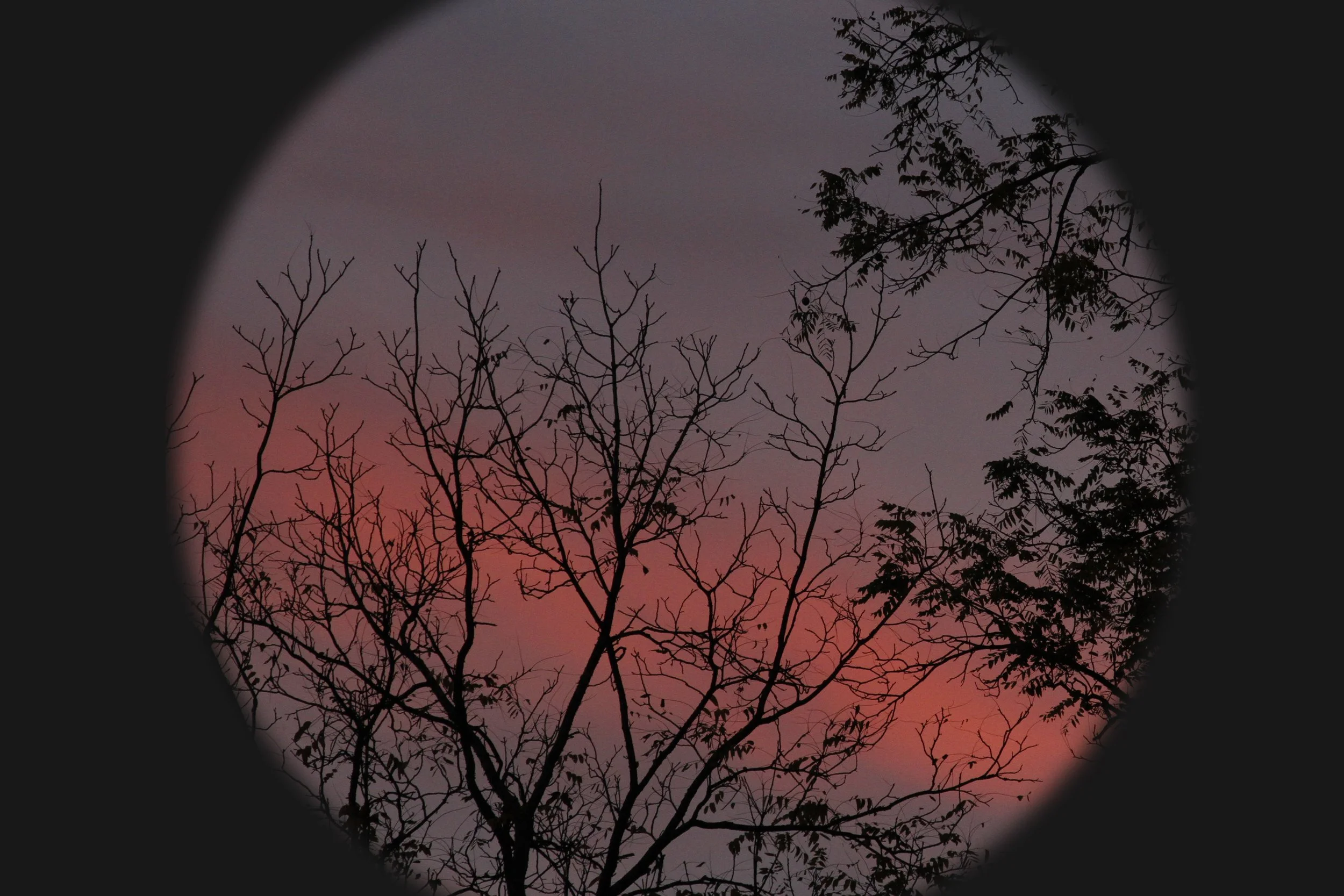 Dobree Adams, JANUARY VERMILI ON STREAK, 2023. Archival inkjet print, 24 x 20 inches.