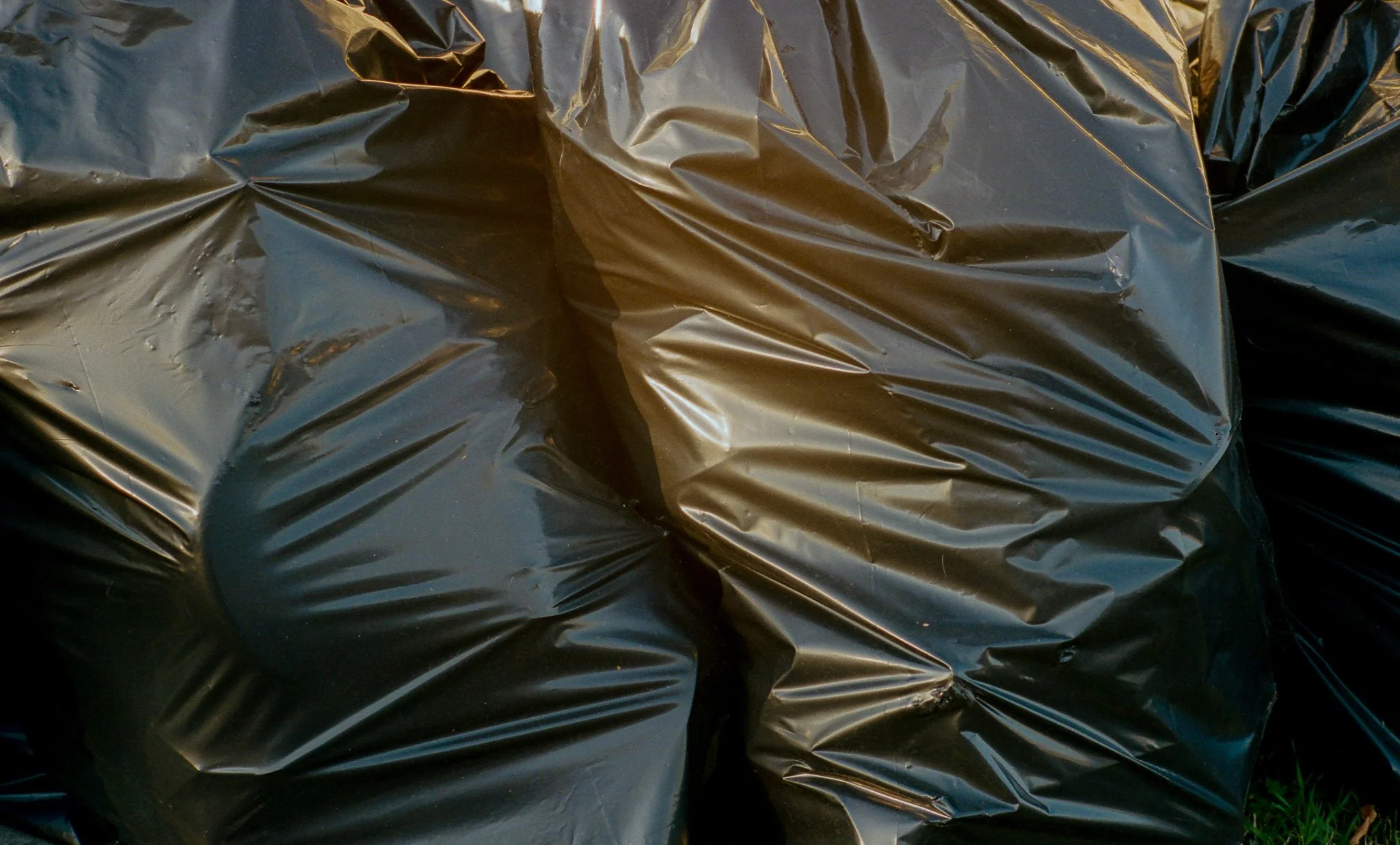 Casey Joiner, The Positive Capacity of Hallucination, 2024, archival pigment print, 45 x 30 inches