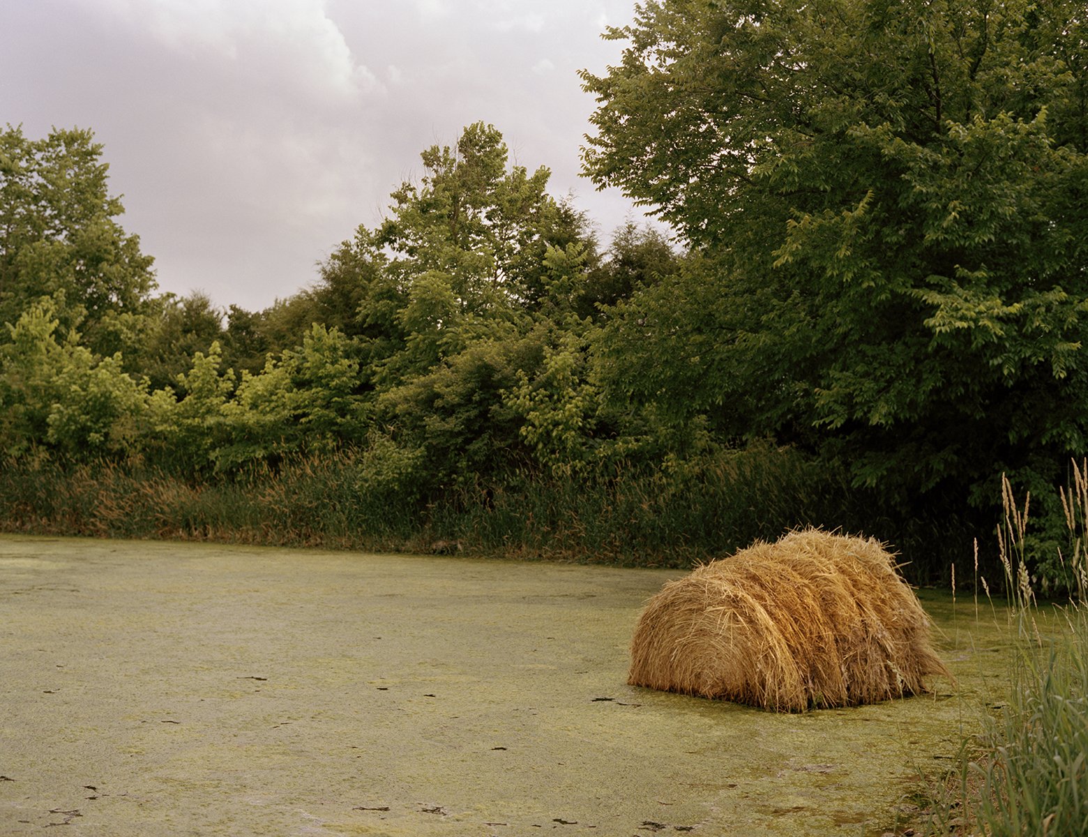 haybale_pond_2017_001_300dpi.jpg