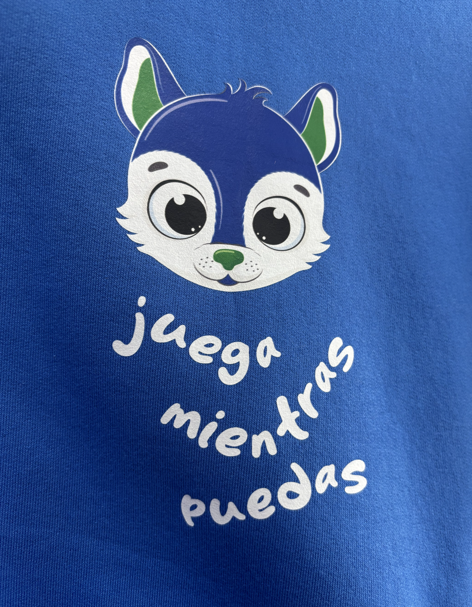 Captura de pantalla 2026-02-09 a la(s) 11.49.47 a. m..png