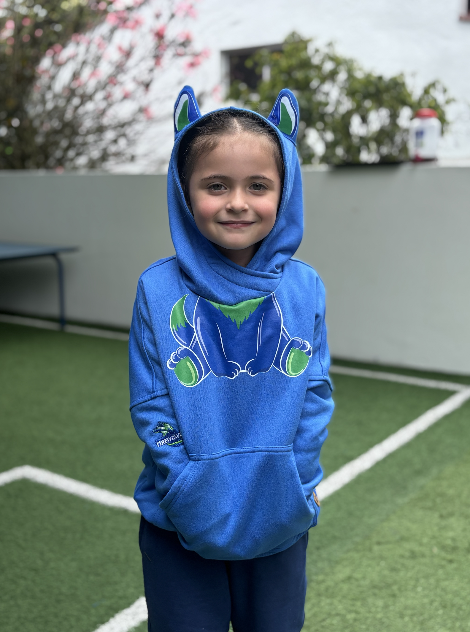 Captura de pantalla 2026-02-09 a la(s) 11.49.06 a. m..png