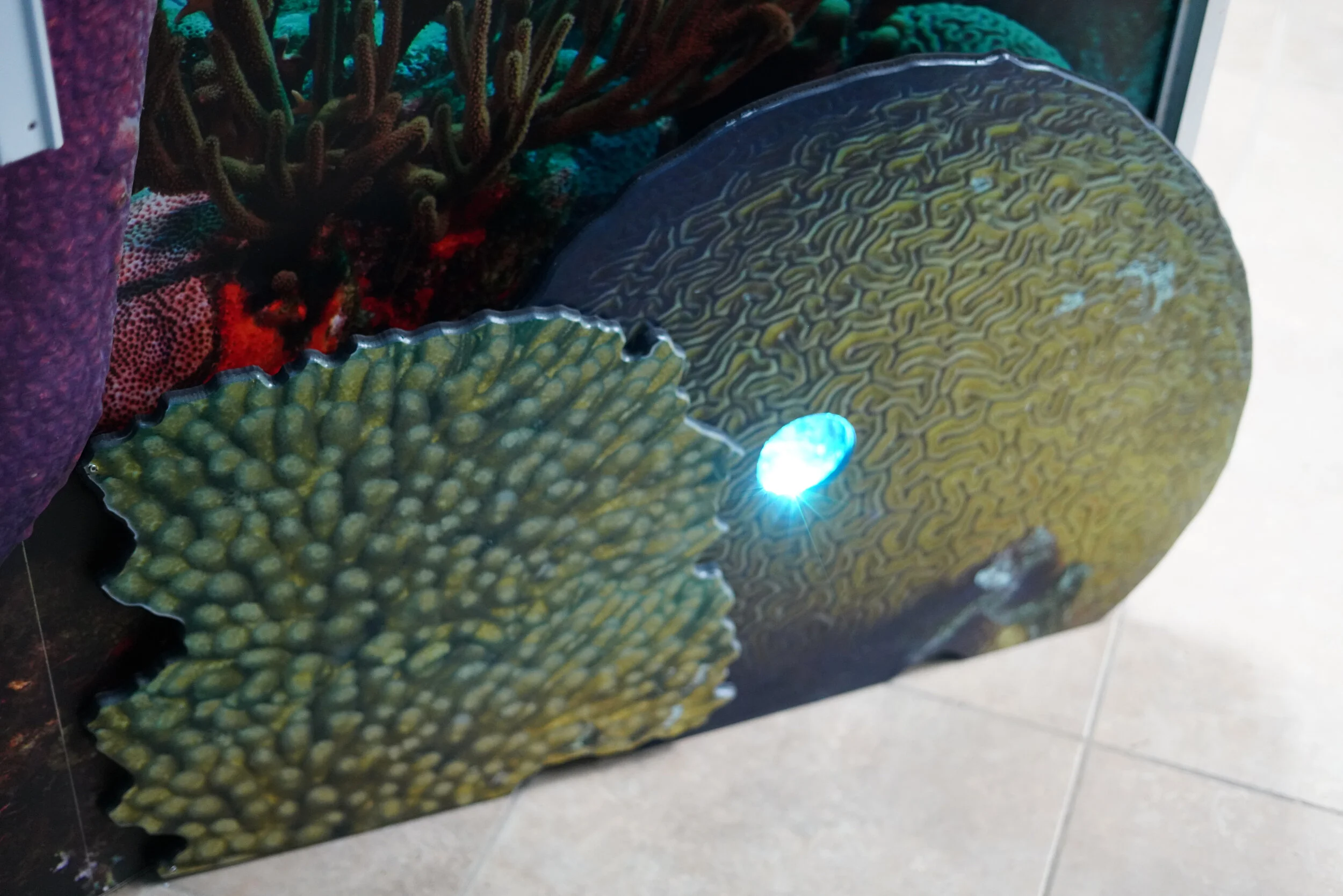 St. Croix East End Marine Park — Wilderness Graphics