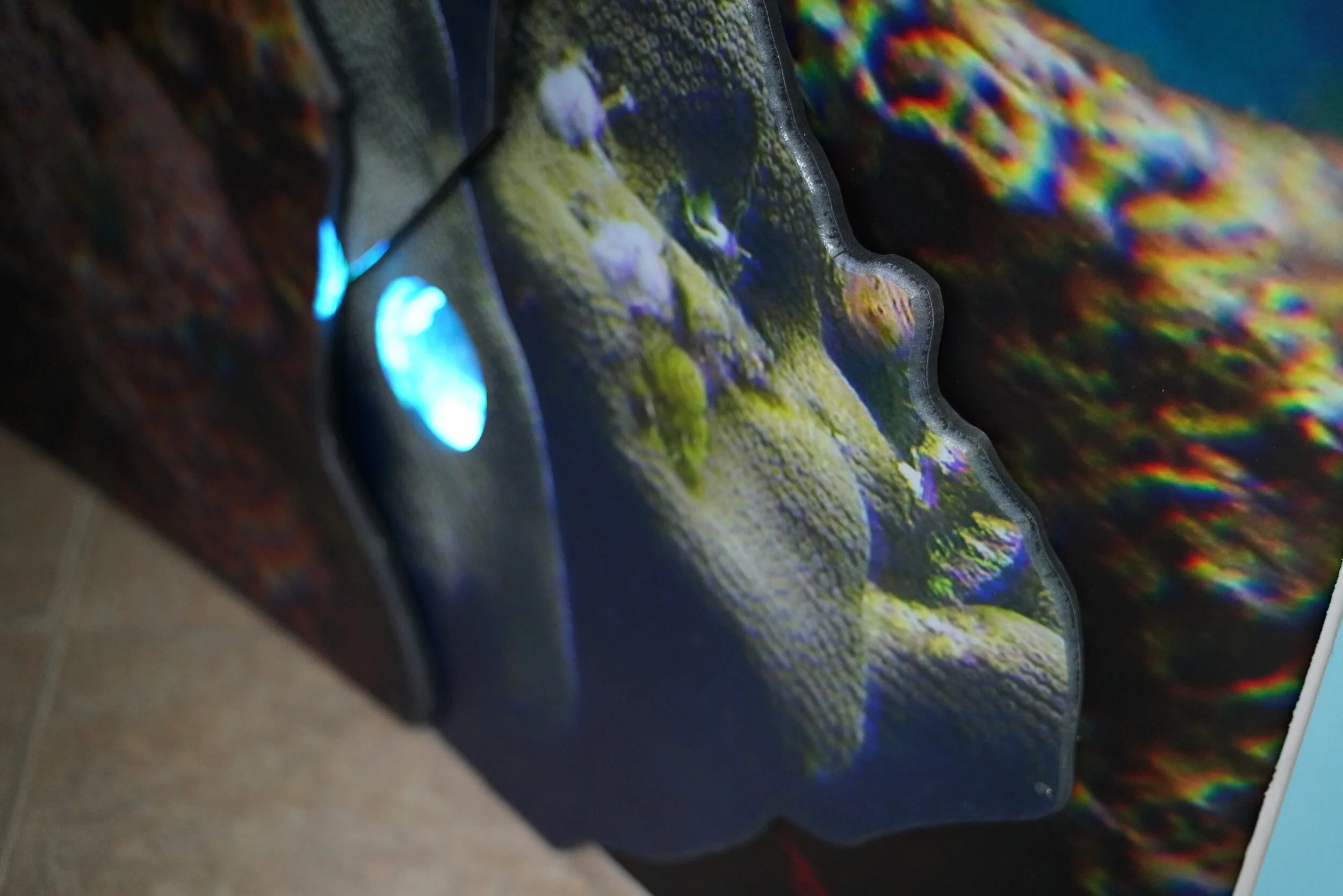 St. Croix East End Marine Park — Wilderness Graphics