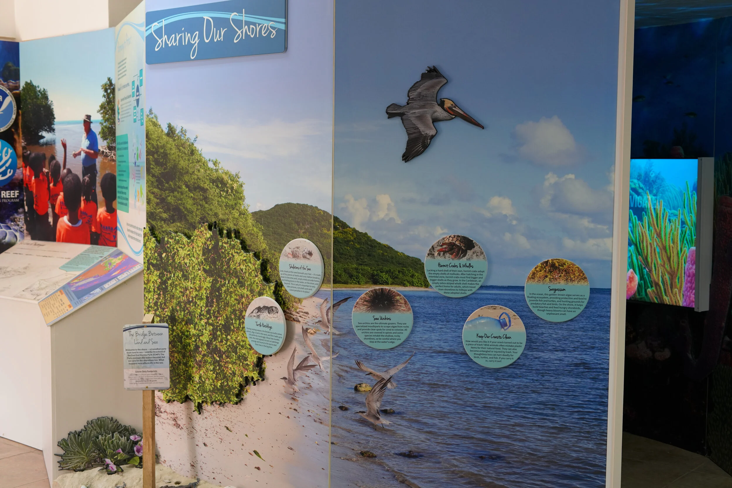 St. Croix East End Marine Park — Wilderness Graphics