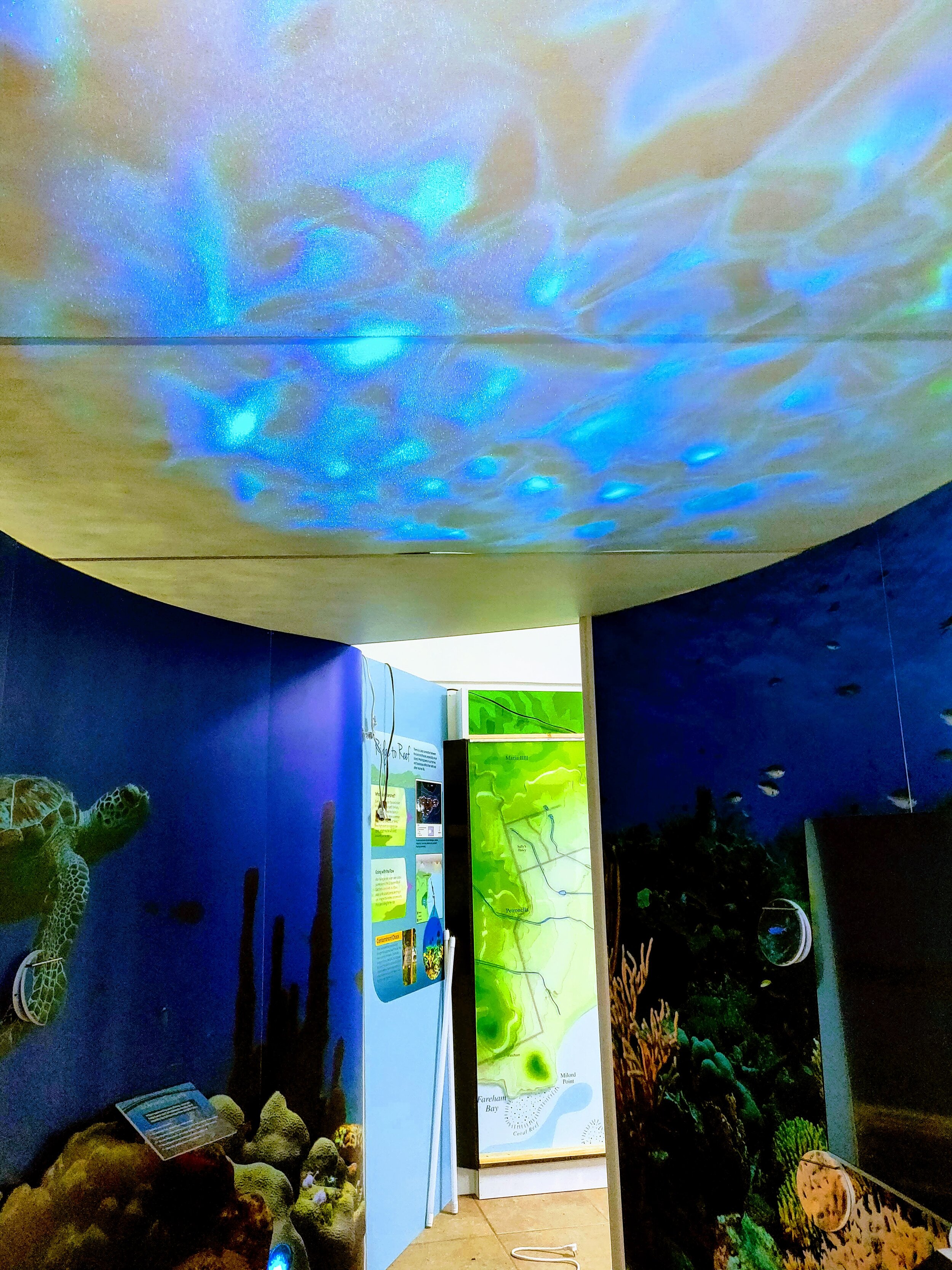 St. Croix East End Marine Park — Wilderness Graphics