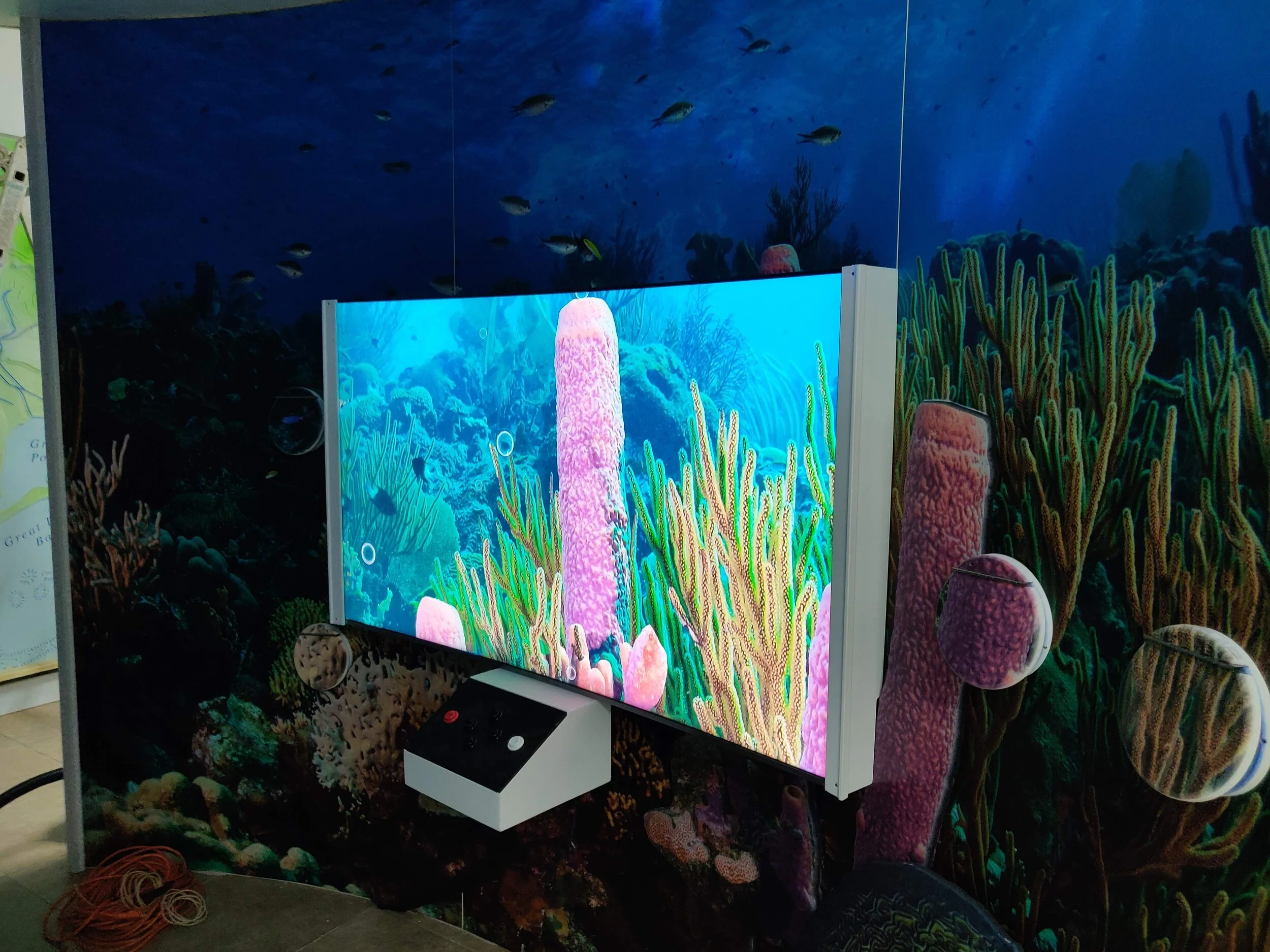 St. Croix East End Marine Park — Wilderness Graphics