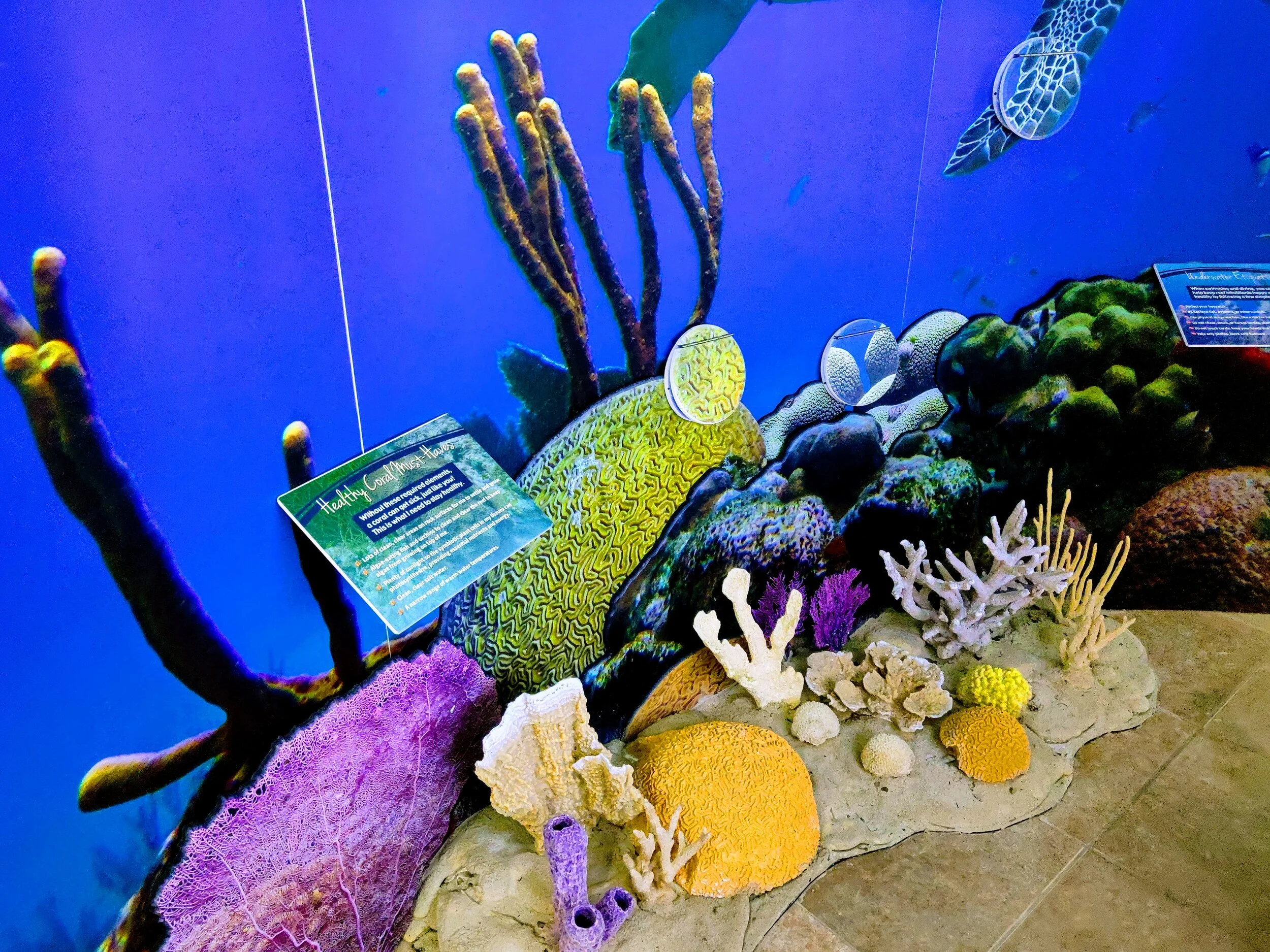 St. Croix East End Marine Park — Wilderness Graphics