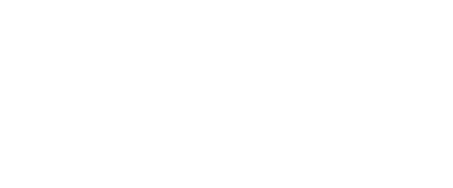 Steel City Insurance