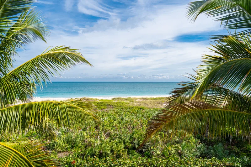 Beach2.jpg