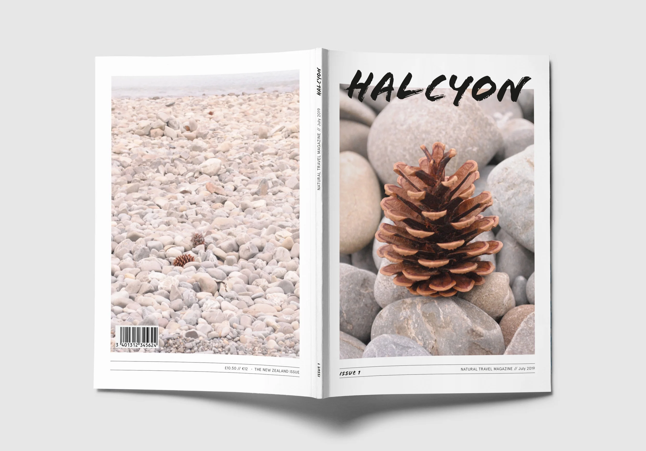 Halcyon-Magazine_Layout-Design_Cover.jpg
