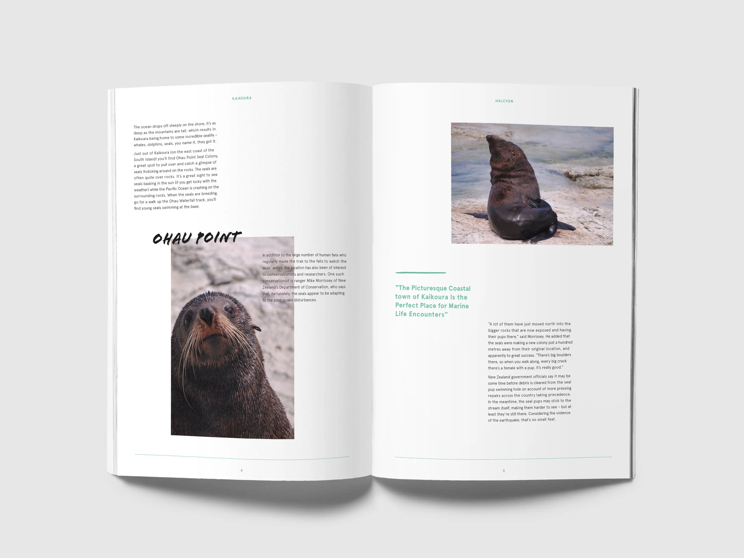 Halcyon_Magazine MockUp_Dev2_Inside Pages_2.jpg