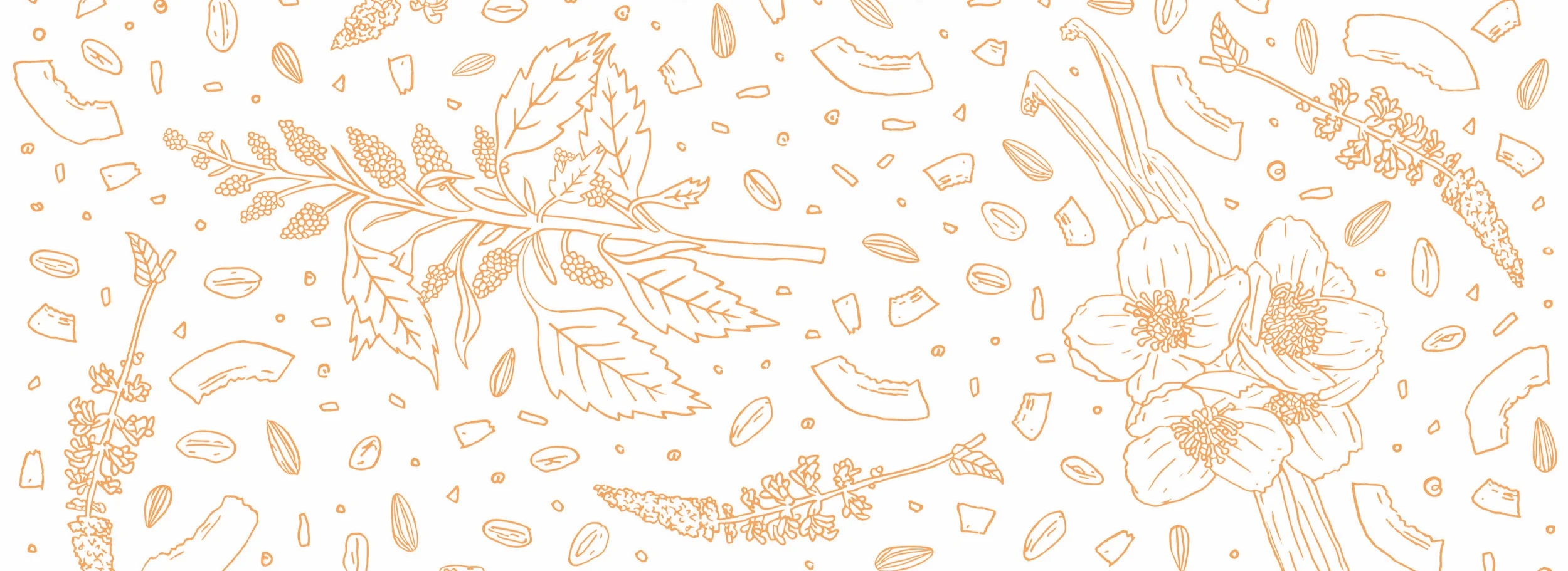 Illustration+pattern_Cinnamon+and+vanilla_COLOUR.jpg