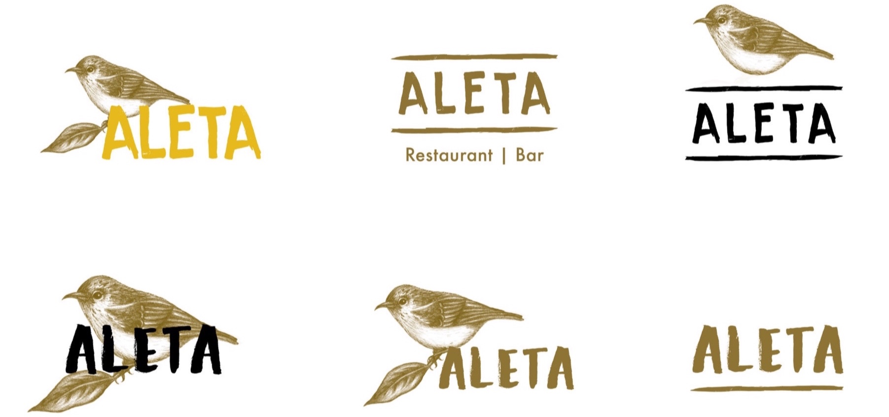 Aleta_Logo_Development_2.jpg
