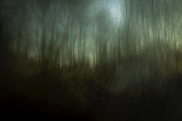 &bull;West Kington&bull; "Greatly influenced by the work of Nicholas Hughes, this depiction of West Kington woodland defines the chaotic presence that trees possess when dense in numbers, creating sentiments of disorientation and entrapment. The