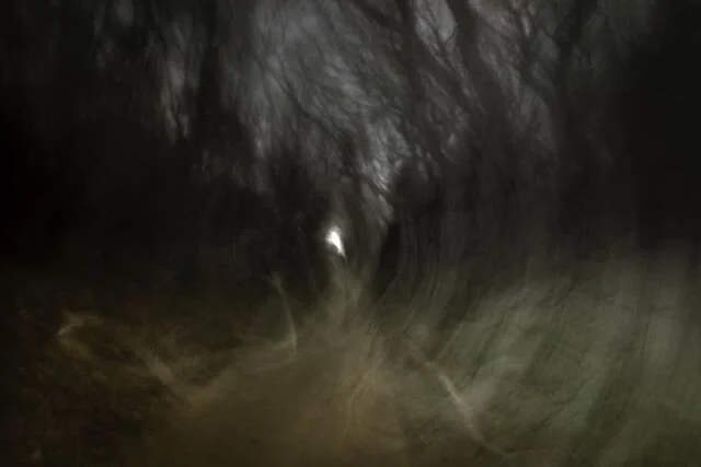 &bull;Hengistbury Head&bull; "Following a footpath into a wooded area within Hengistbury Head, I was soon met by an enclosed tree tunnel dominating my peripheral vision. It lined against a footpath leading to a hole of hopeful sunlight, existing