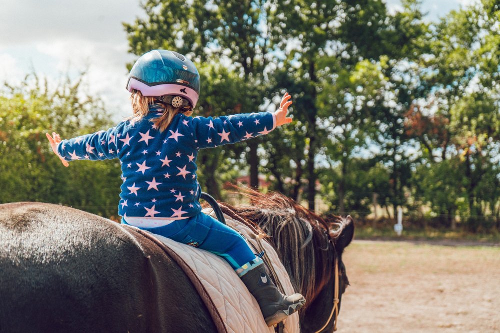How Equine Therapy Is Used To Improve Mental Health โ Wellspring Counseling How Equine Therapy Is Used To Improve Mental Health โ Wellspring Counseling
