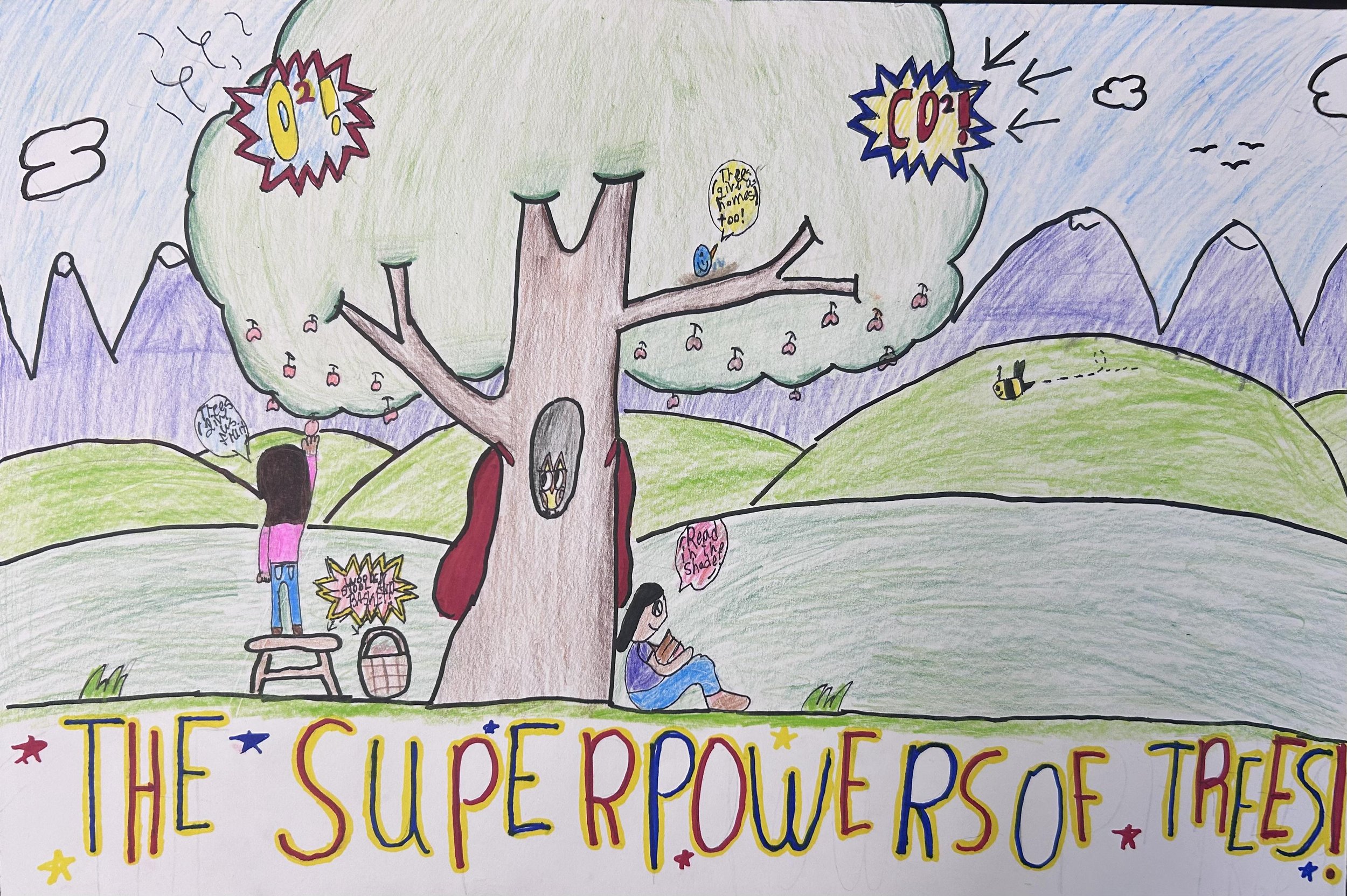 Arya R., Sierra Elementary School, Arvada