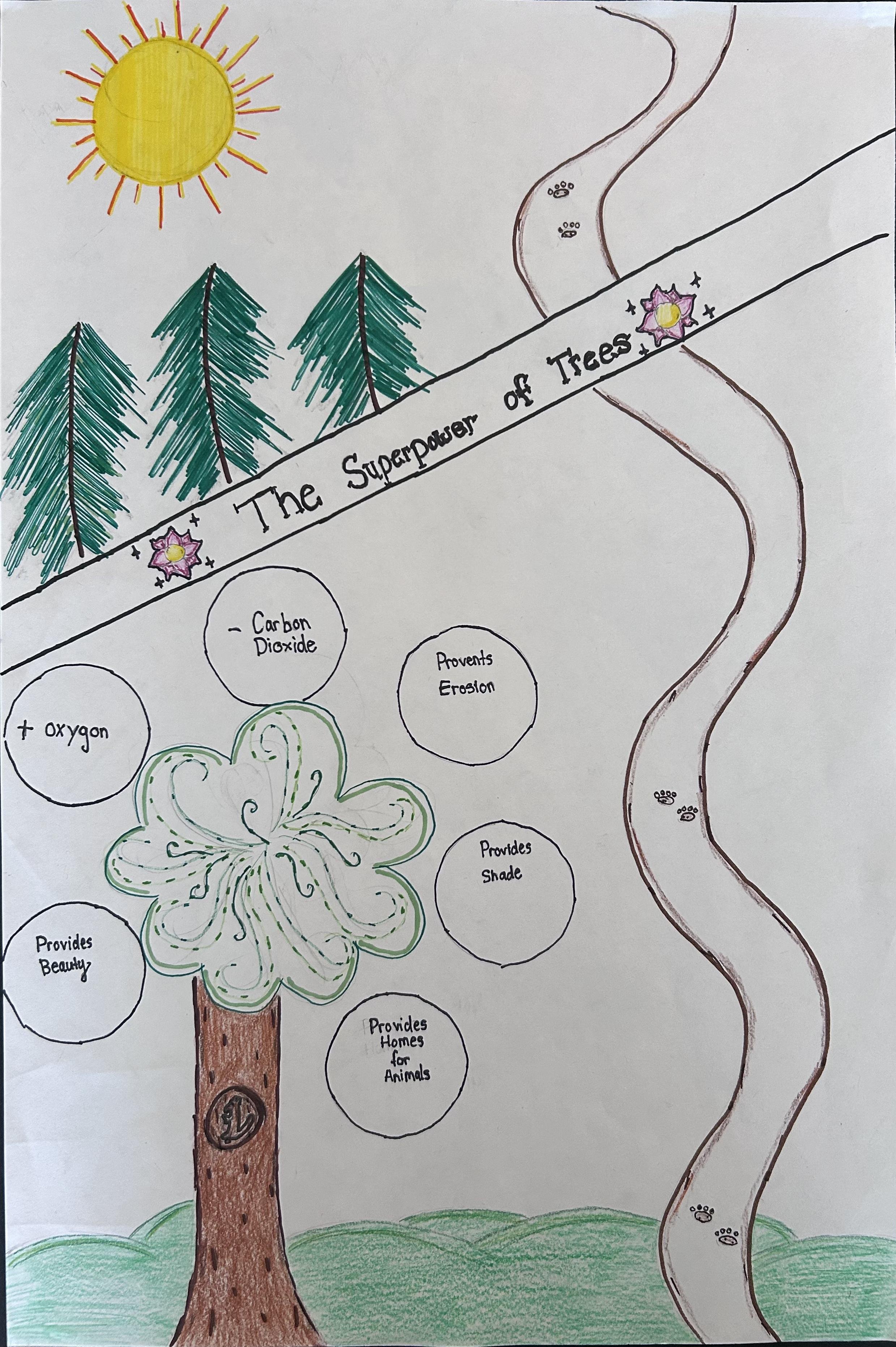 Corie Maez, South Mesa Elementary, Pueblo