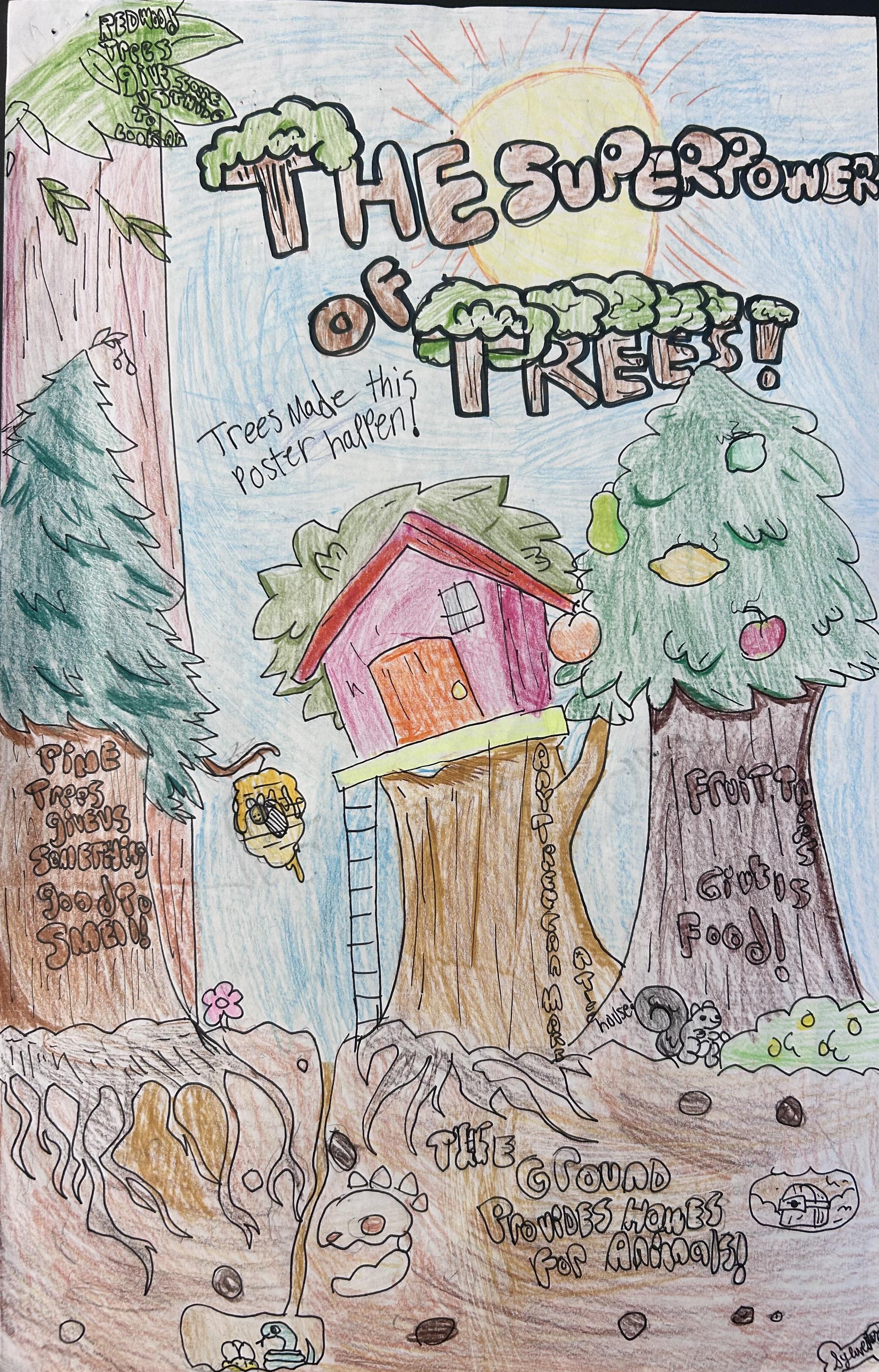 Sylvester C., Pennock Elementary School, Brighton