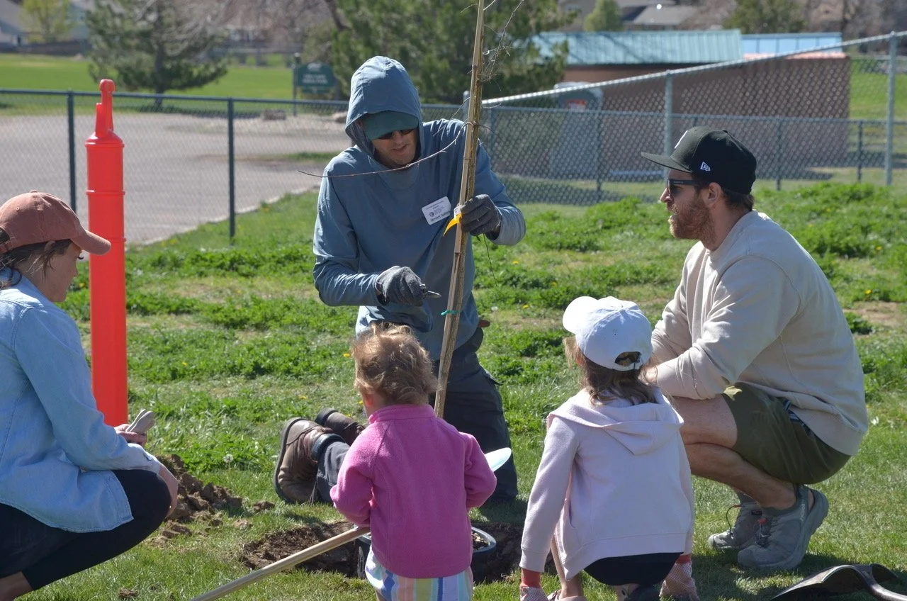 Parent and CSU Researcher Dr. Jon Martin demonstrates to students how to plant a tree. 