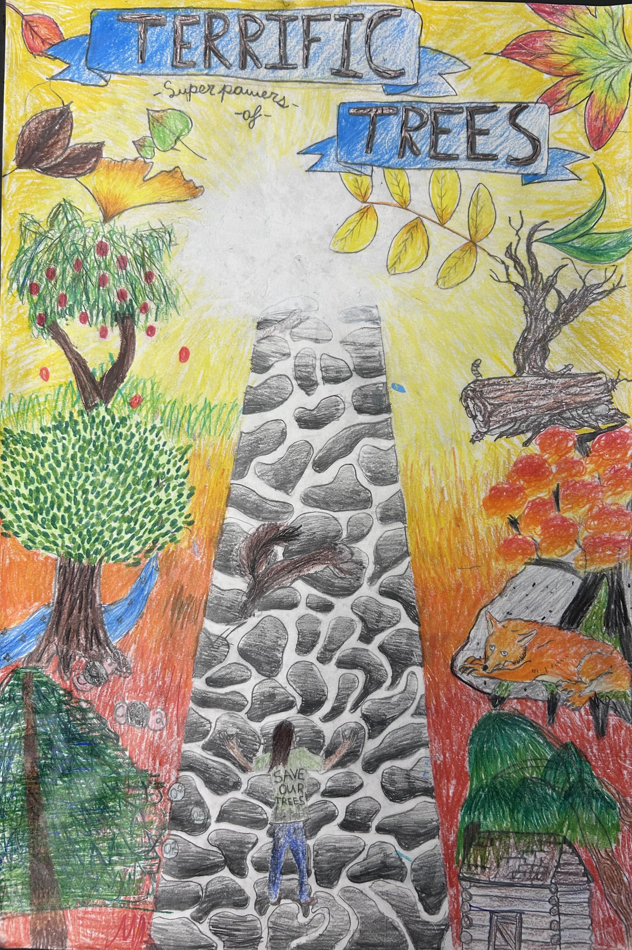 Evelyn A., Wilmot Elementary School, Evergreen