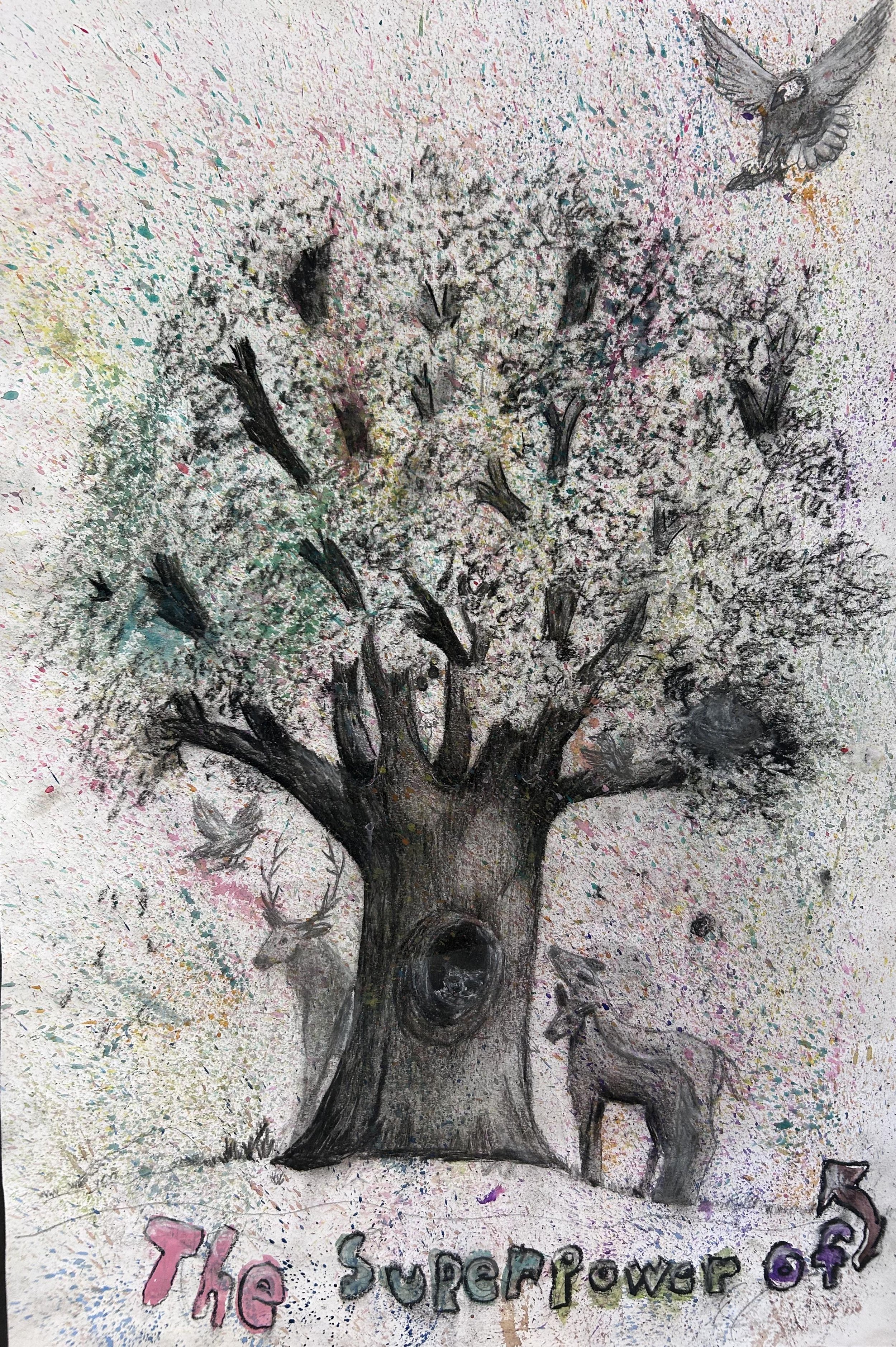 Maddie A., Sopris Elementary School, Sopris