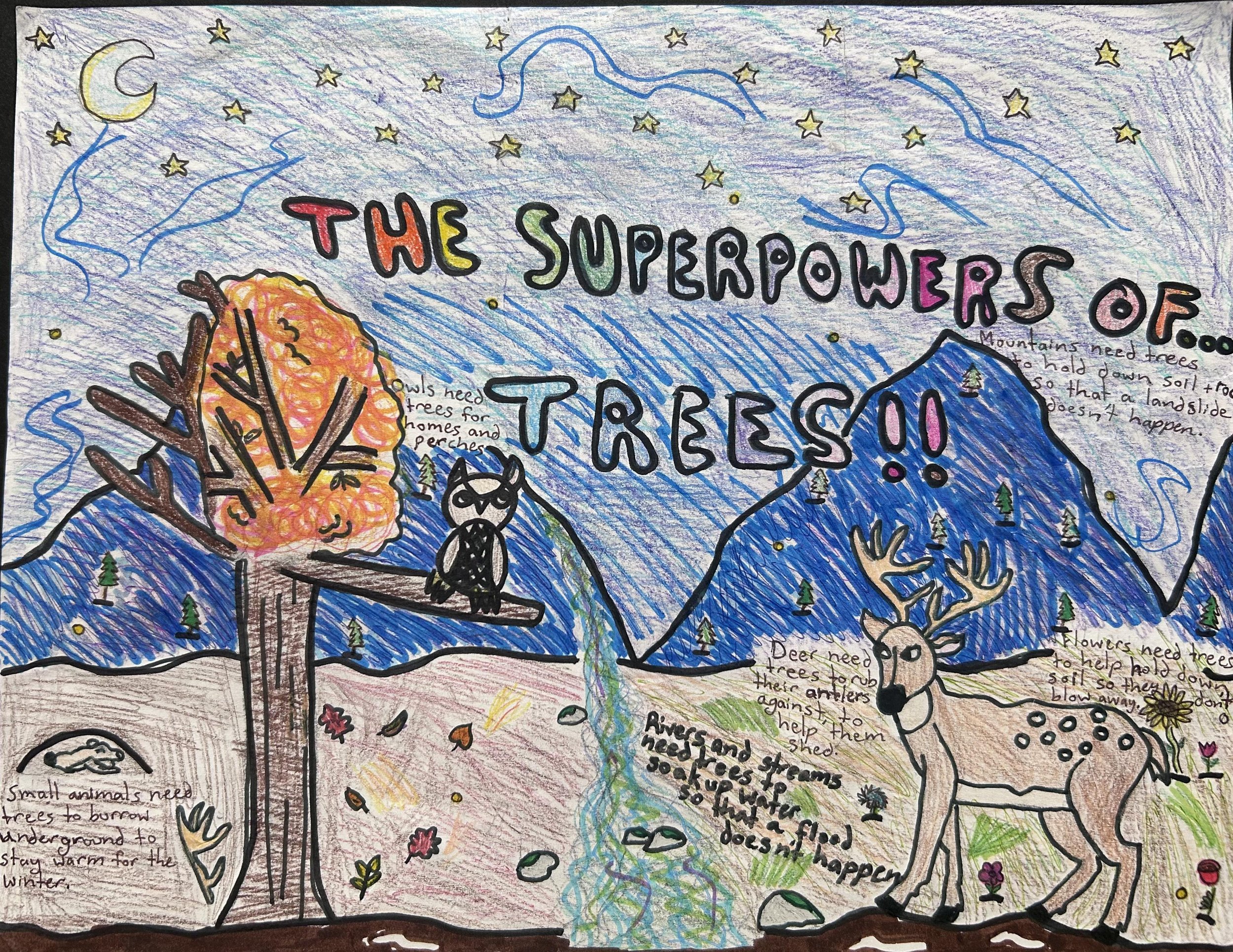Harriet J., Flatirons Elementary School, Boulder