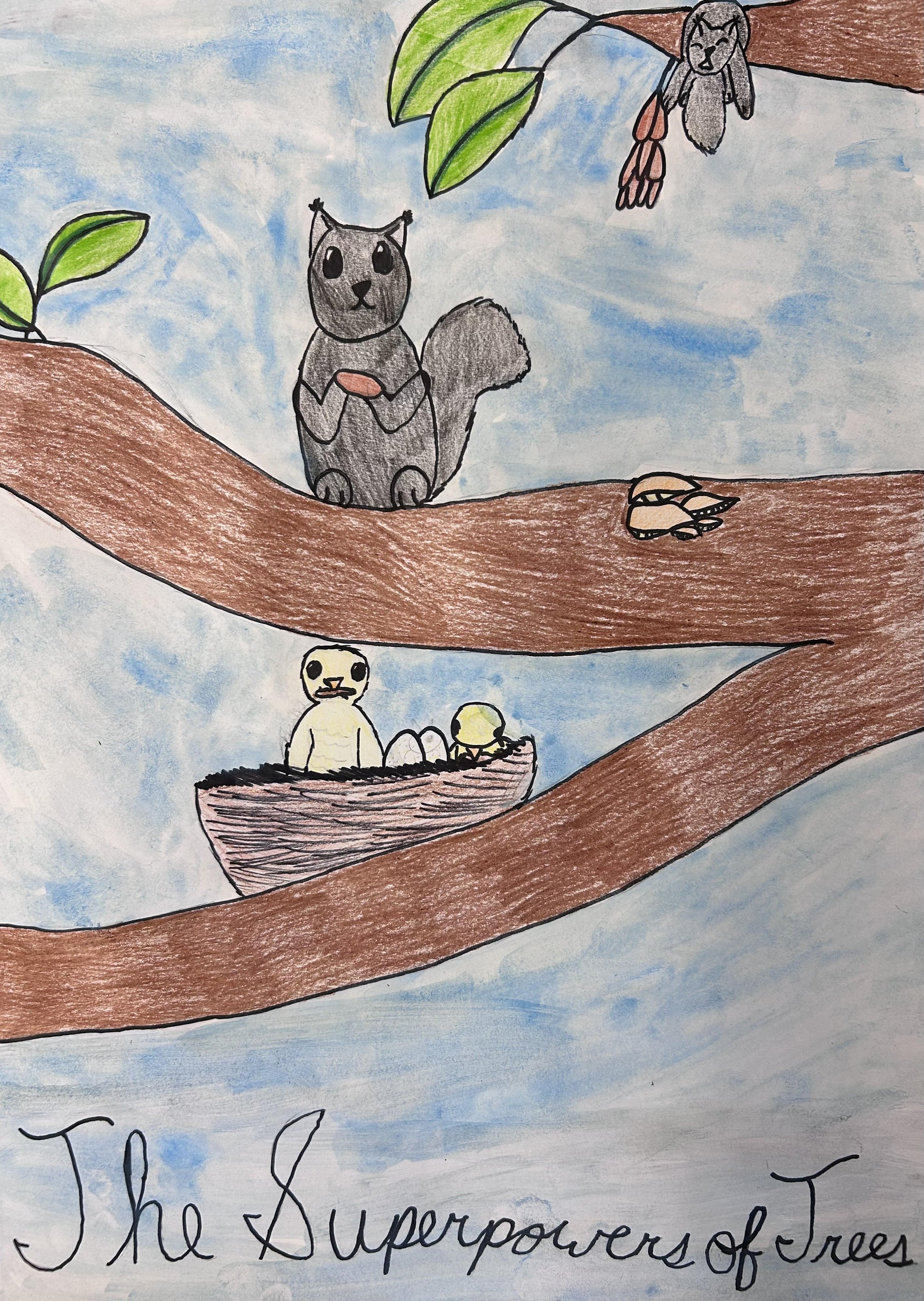 Nissa L., Linton Elementary School, Fort Collins
