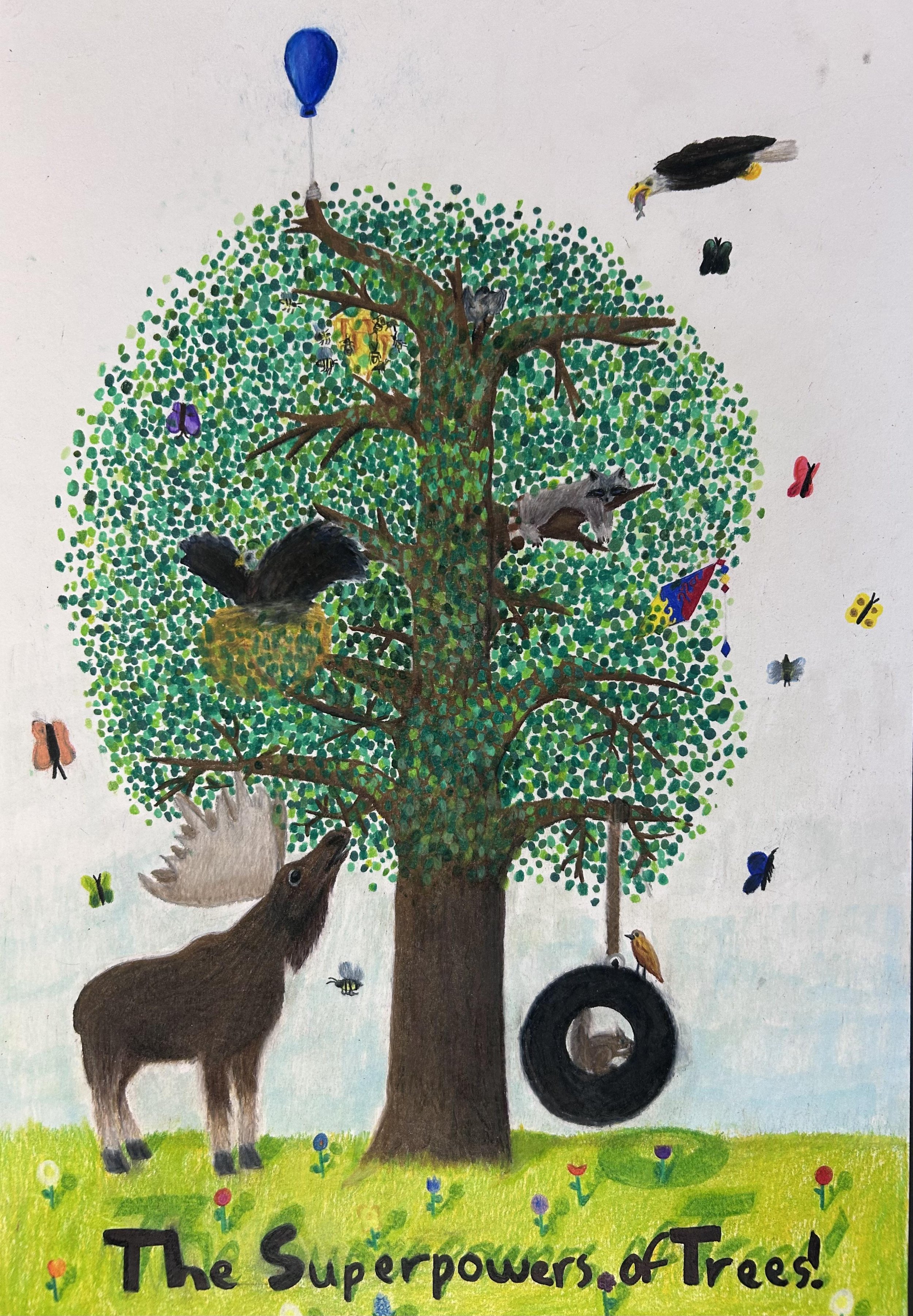 Honorable Mention, Jacob D., homeschool, Castle Rock