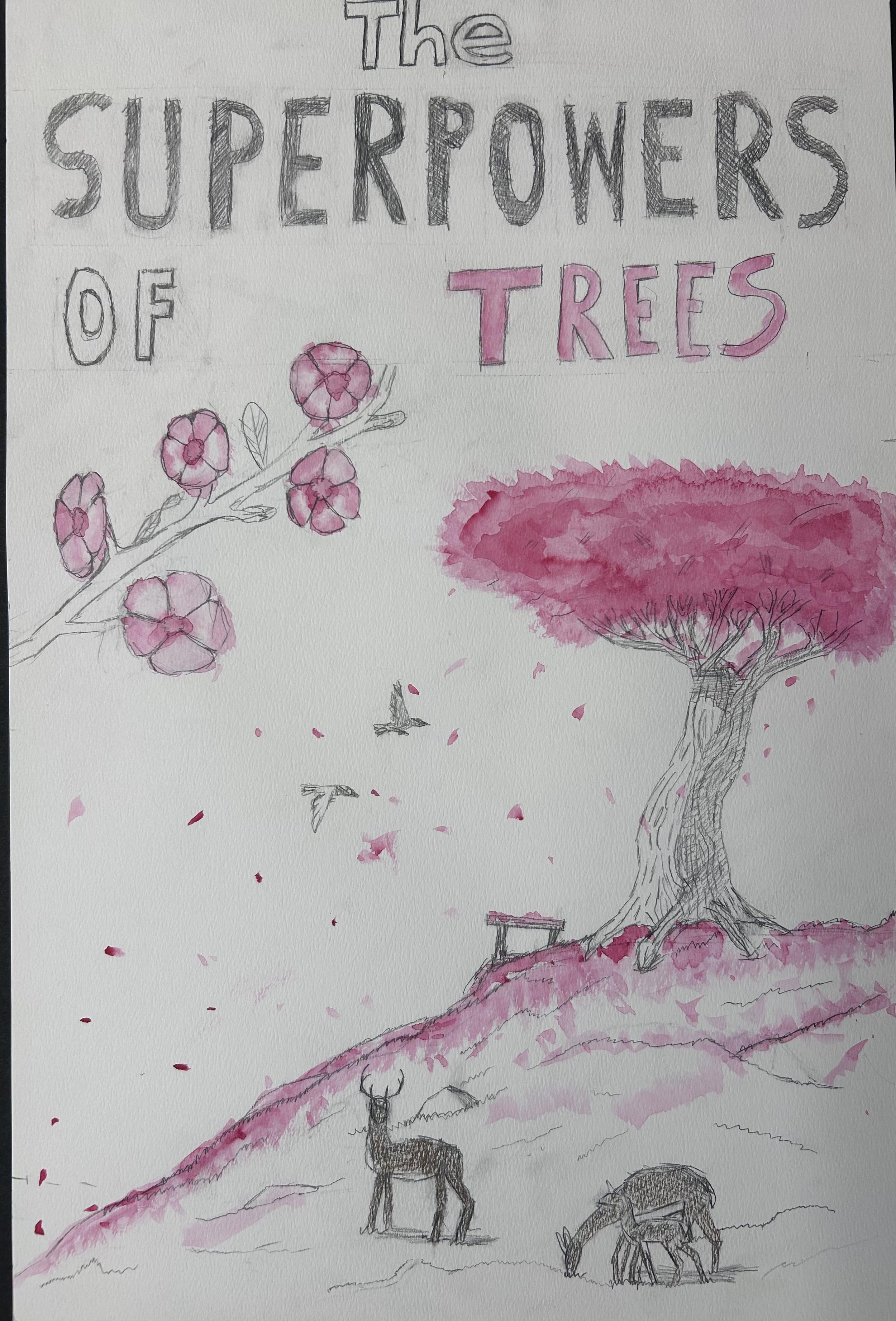 Elliot P., Red Hawk Elementary School, Erie