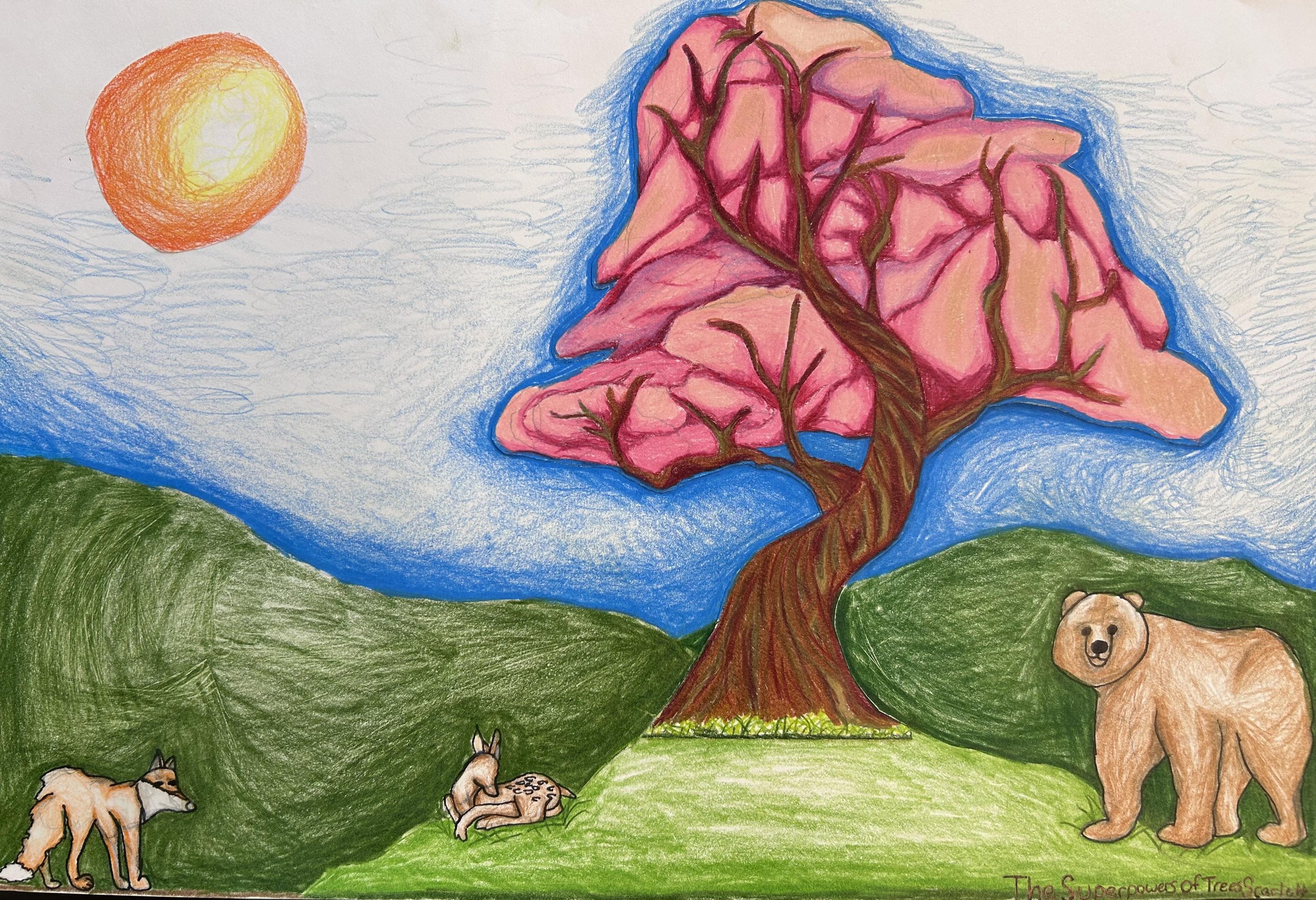 Scarlett C., Ridgway Elementary School, Ridgway