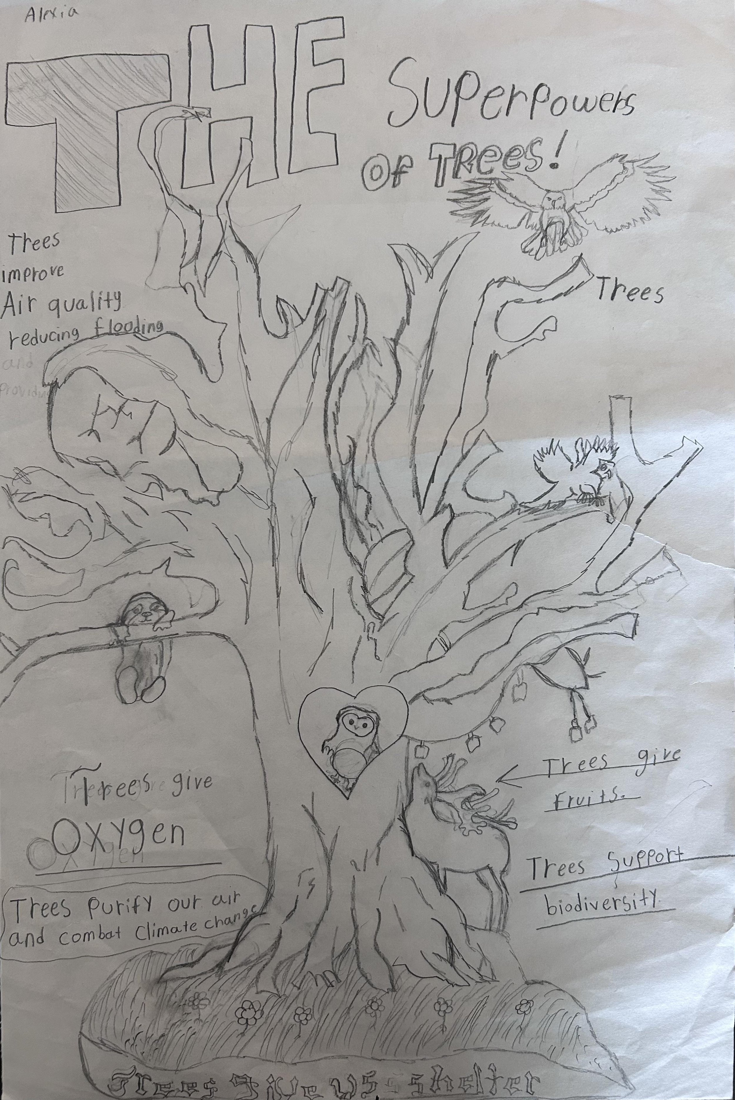 Alexia A., Cowell Elementary School, Denver