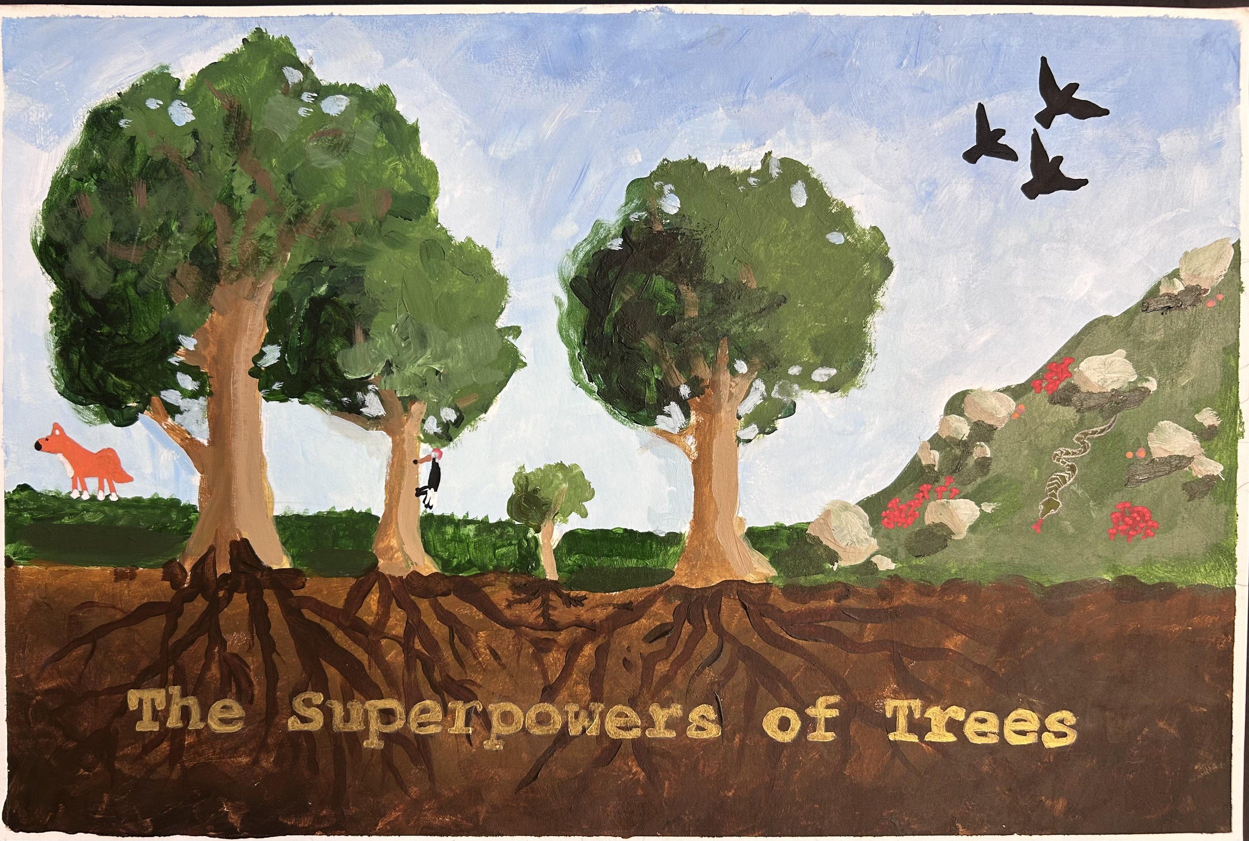 Second Place, Addie D., Three Creek K-8, Arvada