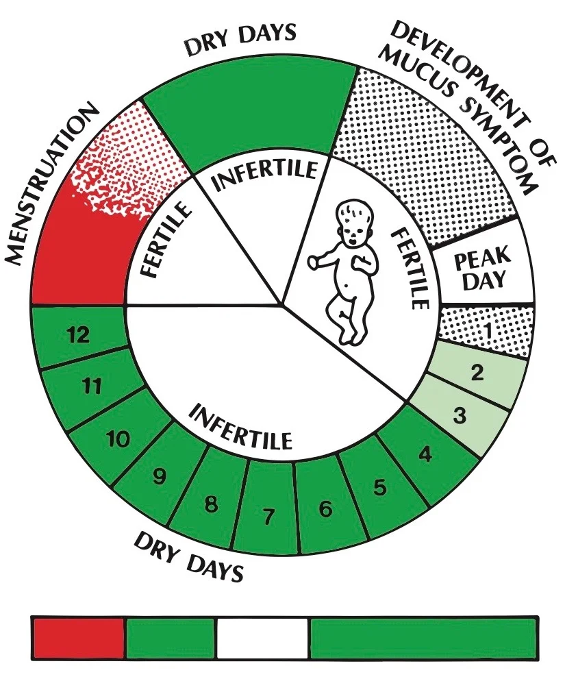 What Is The Creighton Model St Catherine Fertilitycare