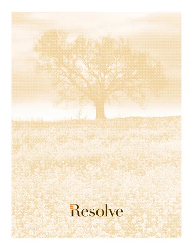 BD_WEB_RESOLVE_02.jpg