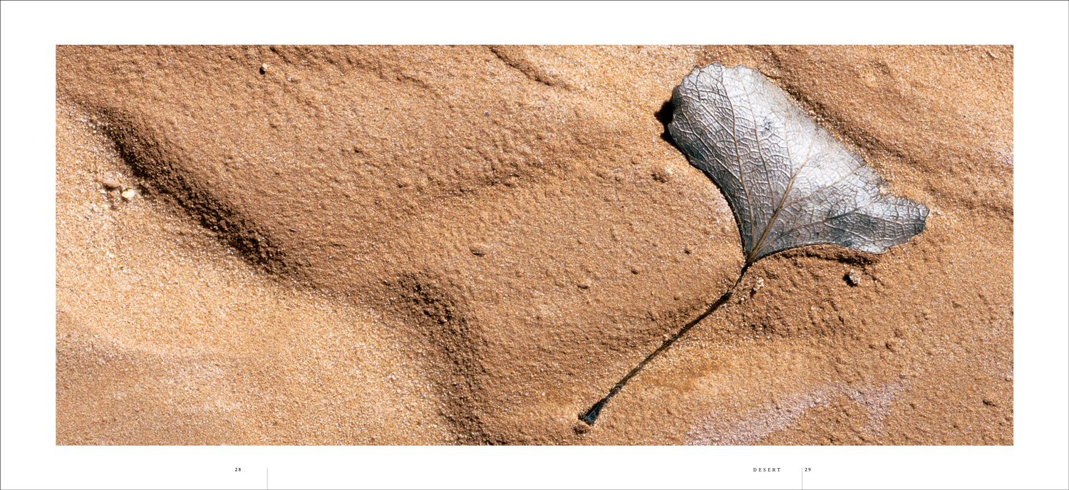 MW01-010-47-Utah-book_desert10.jpg