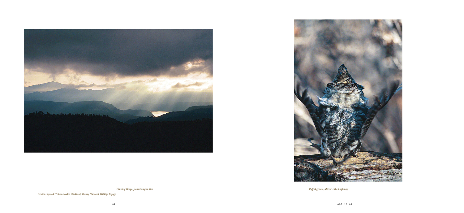 MW01-048-81-Utah-book_alpine.jpg