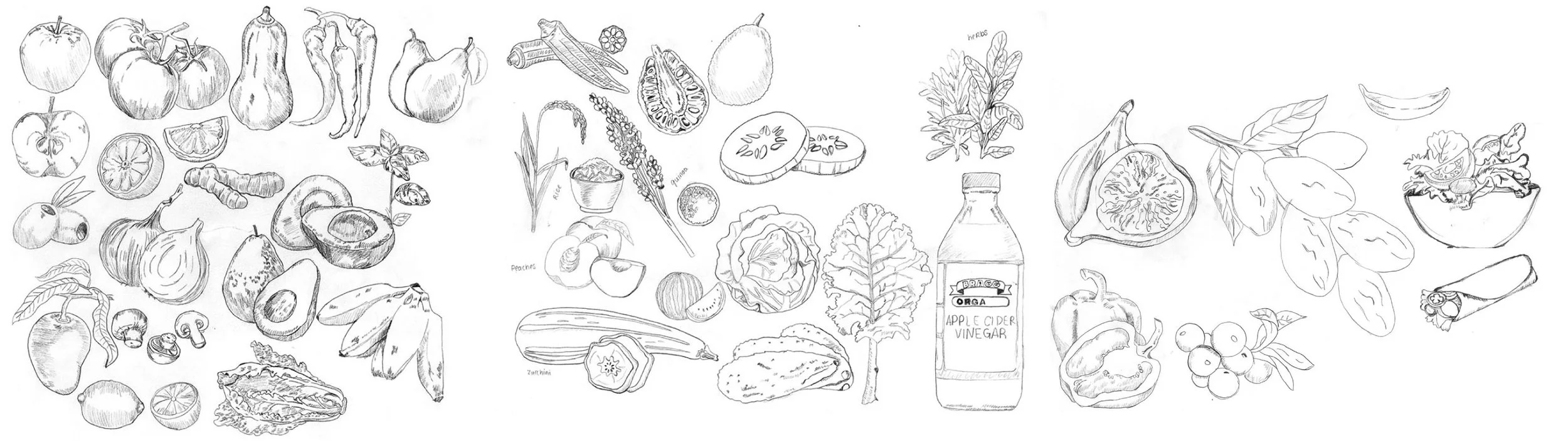 Cado&Co_Sketches.jpg