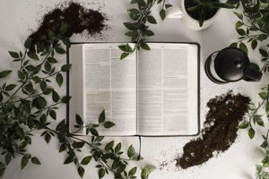 brewing-herbs.jpeg
