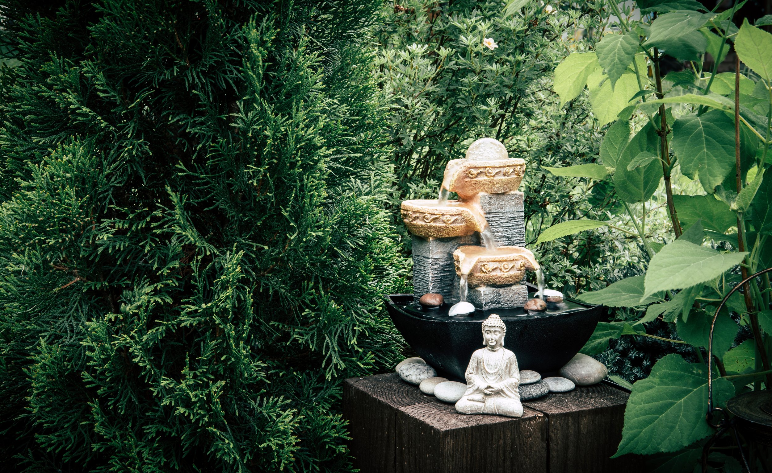 1 PM - Rituals, Altars and Offerings for a Botanically Sacred Home with Sara Stewart Martinelli - SOLD OUT