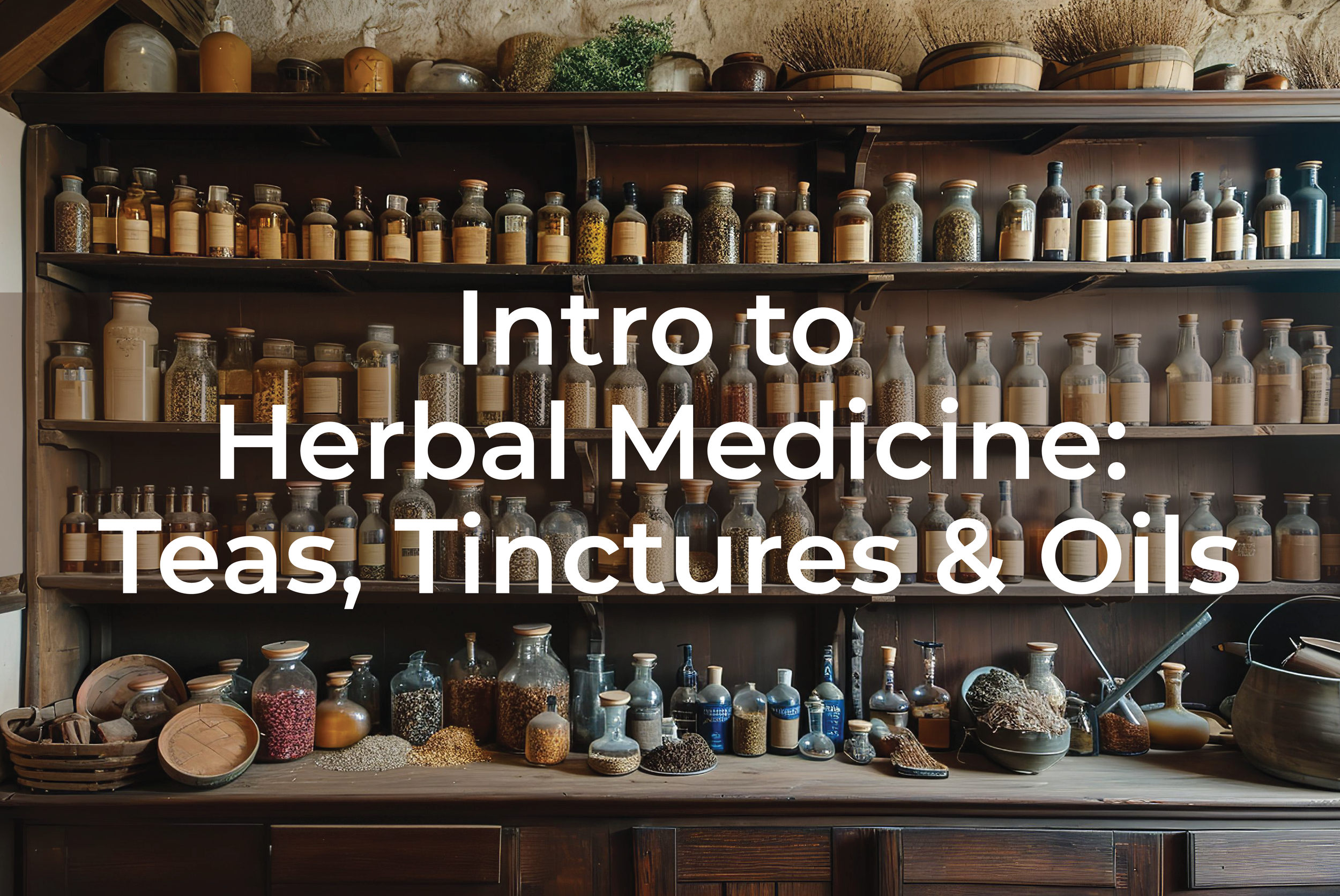 herbal medicine 2.png